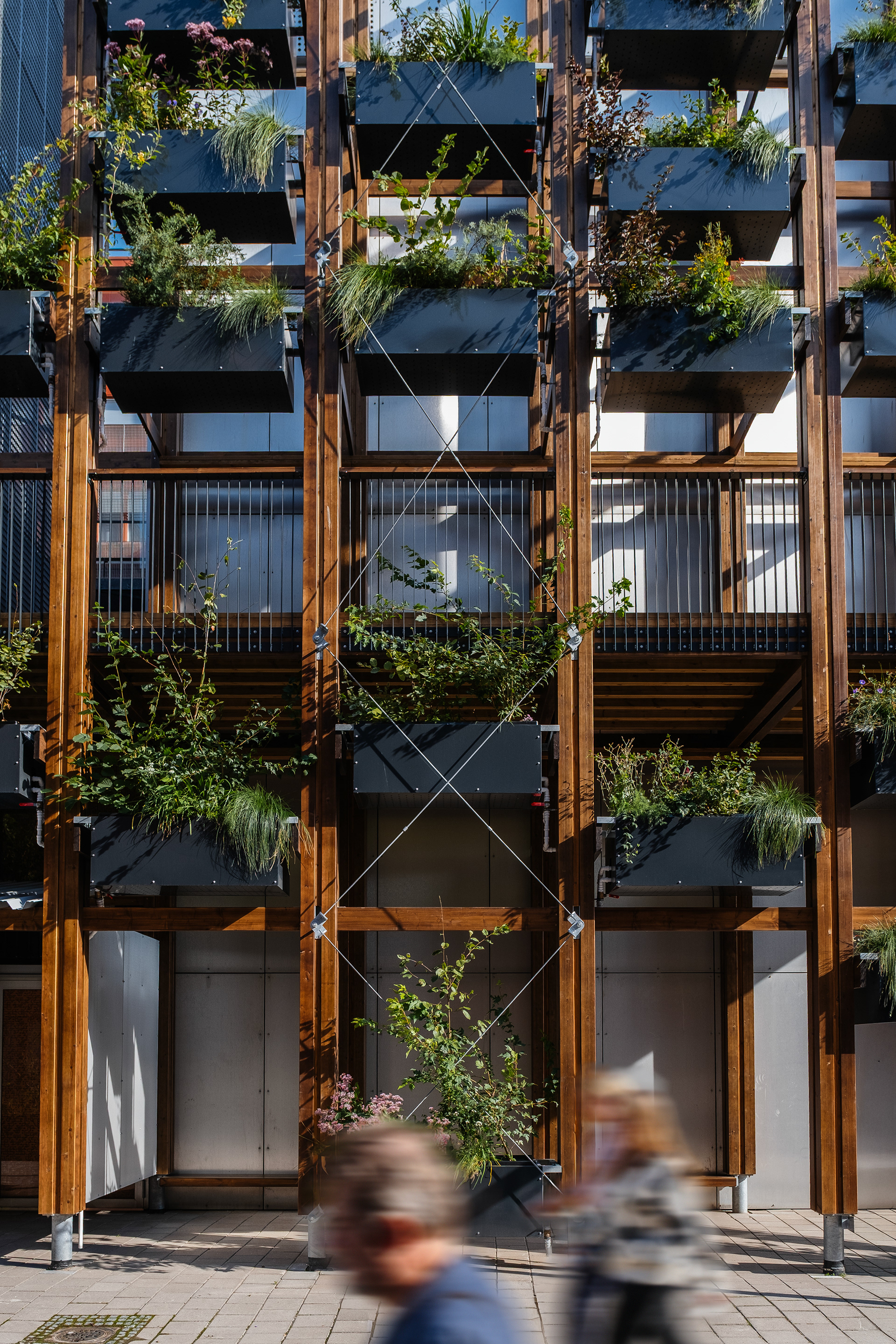 InnoGreen / Eva Lingon Ltd.