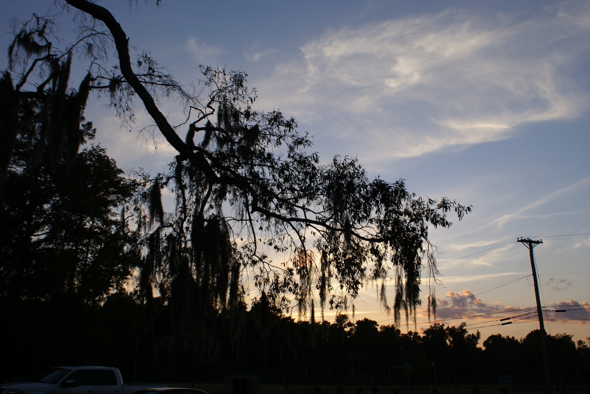 SONY DSC