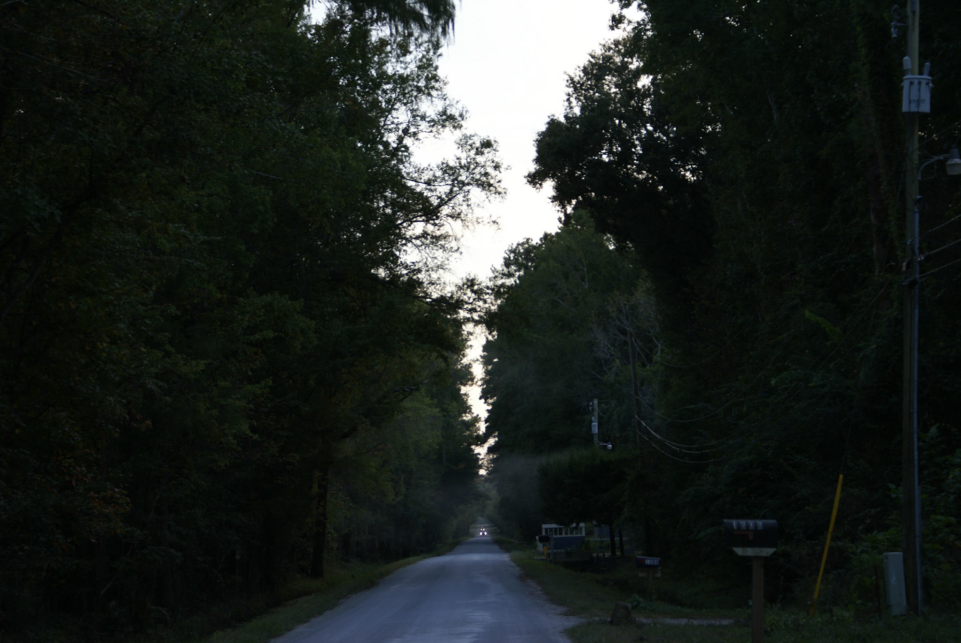 SONY DSC