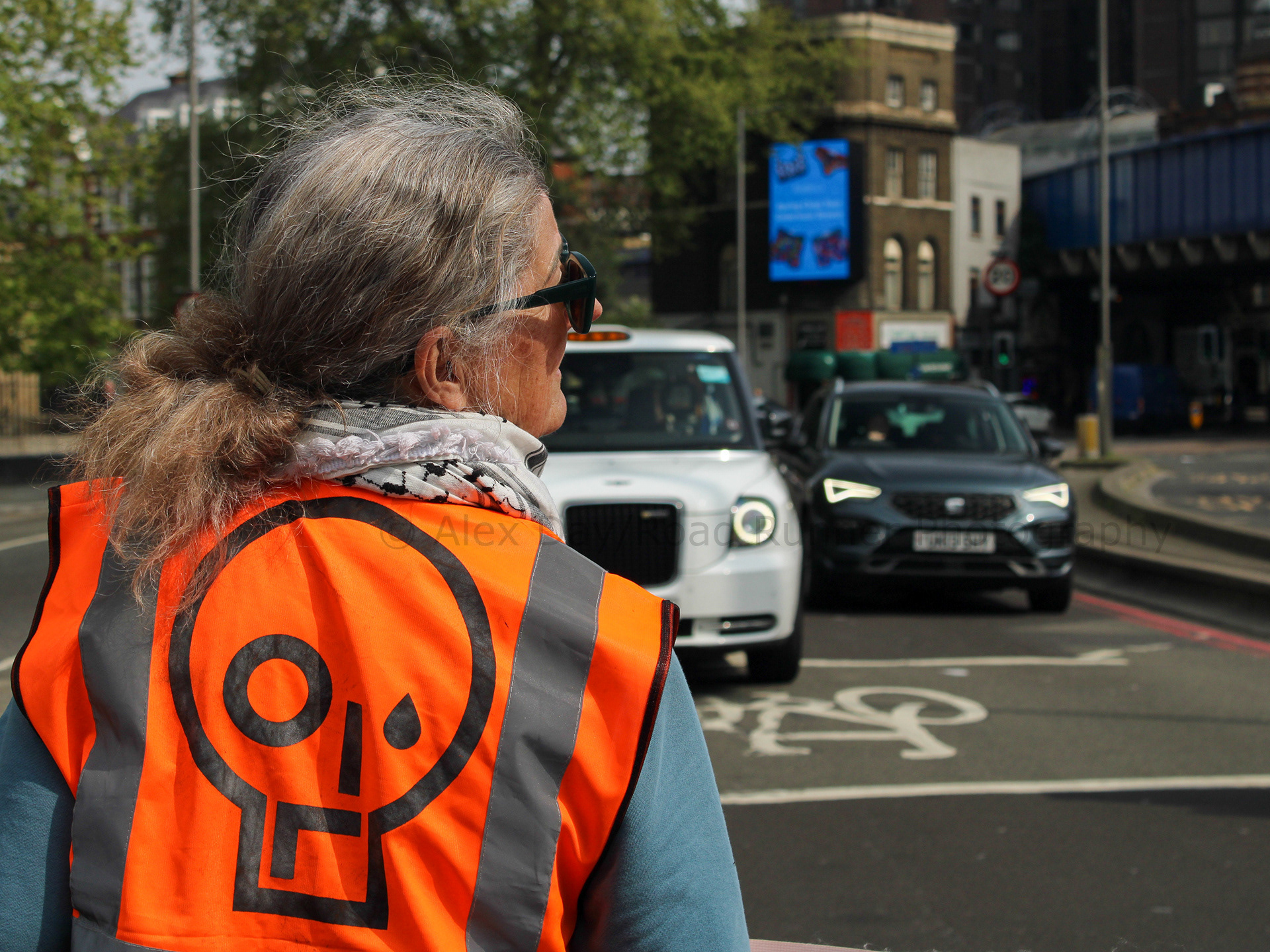 Just Stop Oil "hang the high vis"