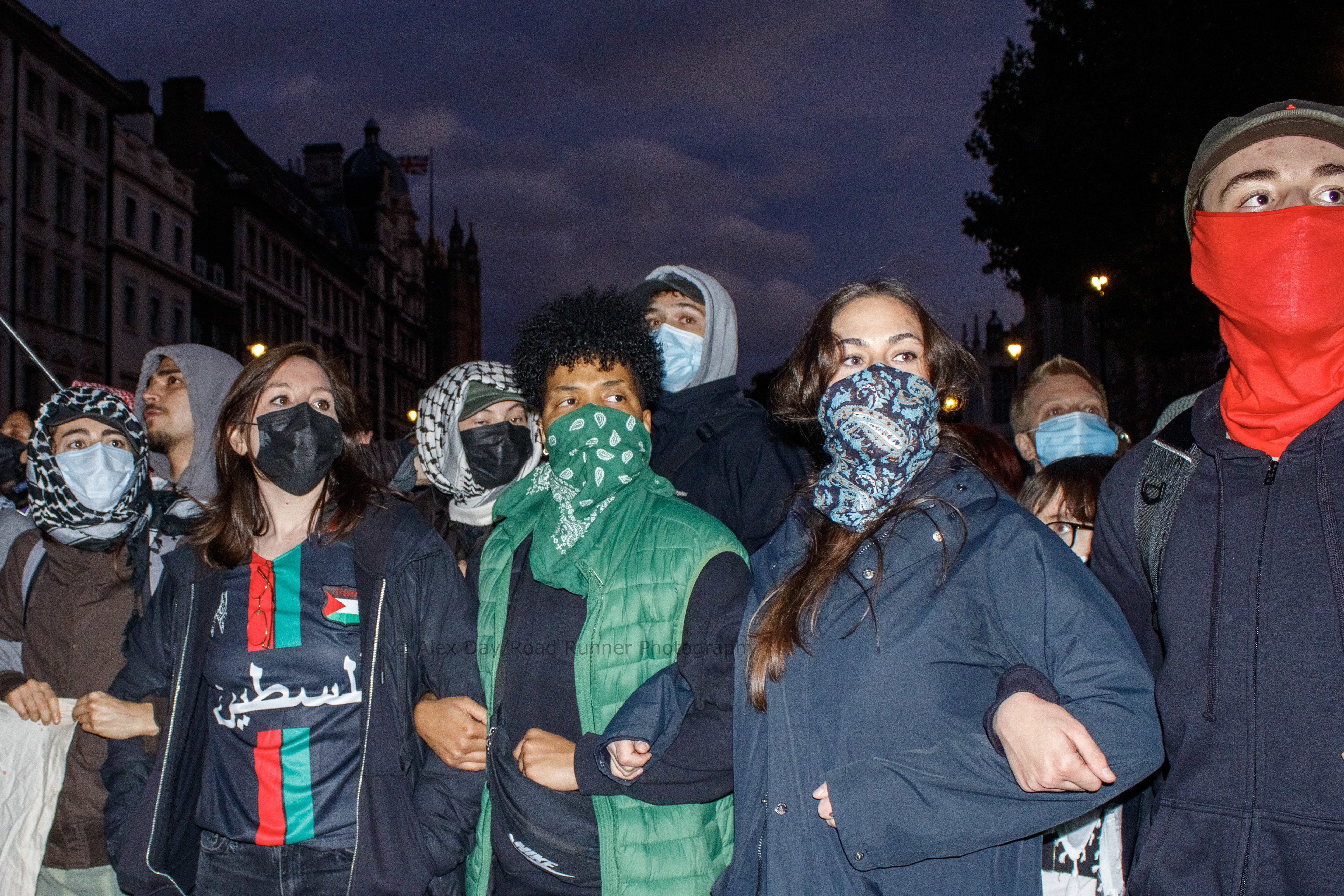 Protesters and police face off at a Palestine demo