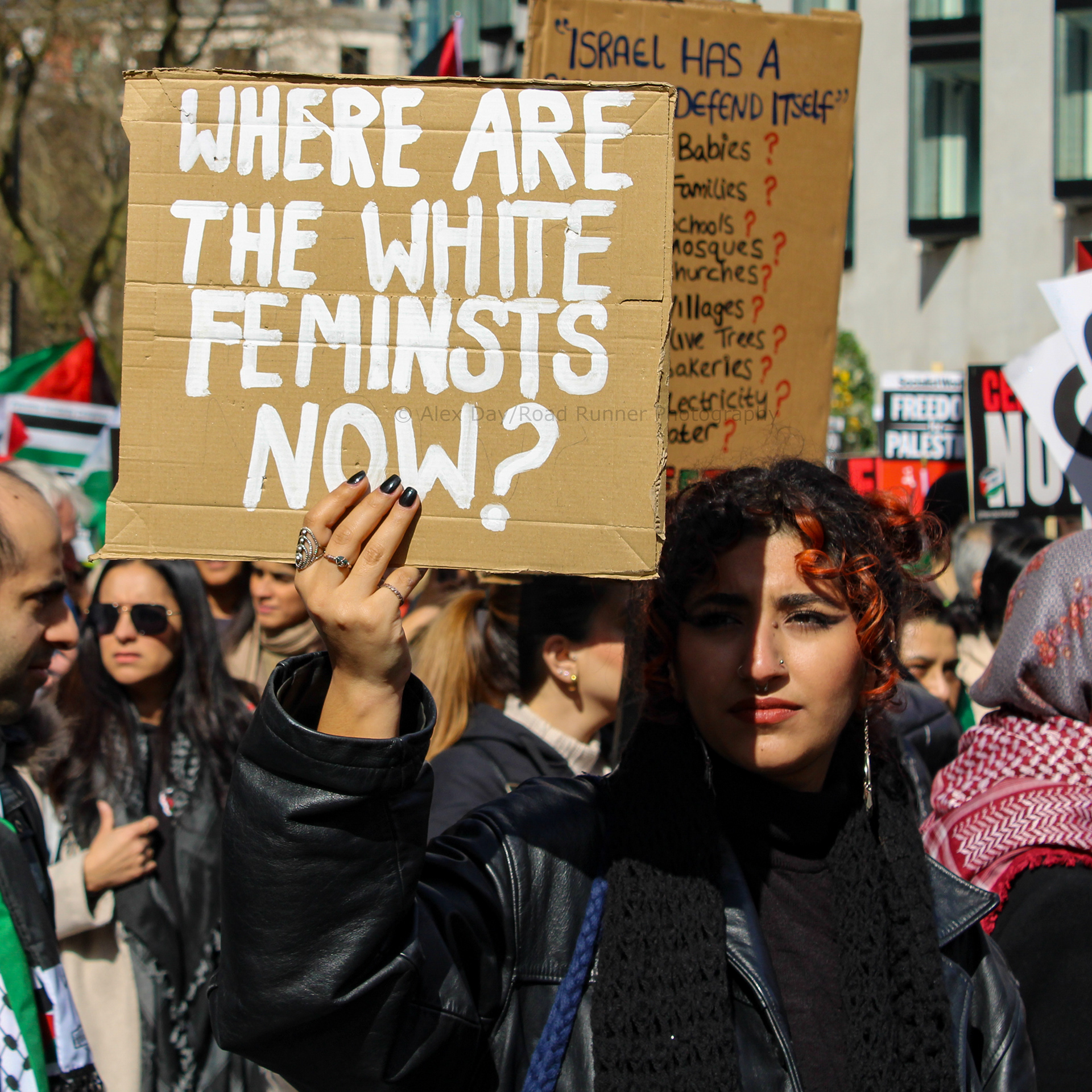 A Palestine protester