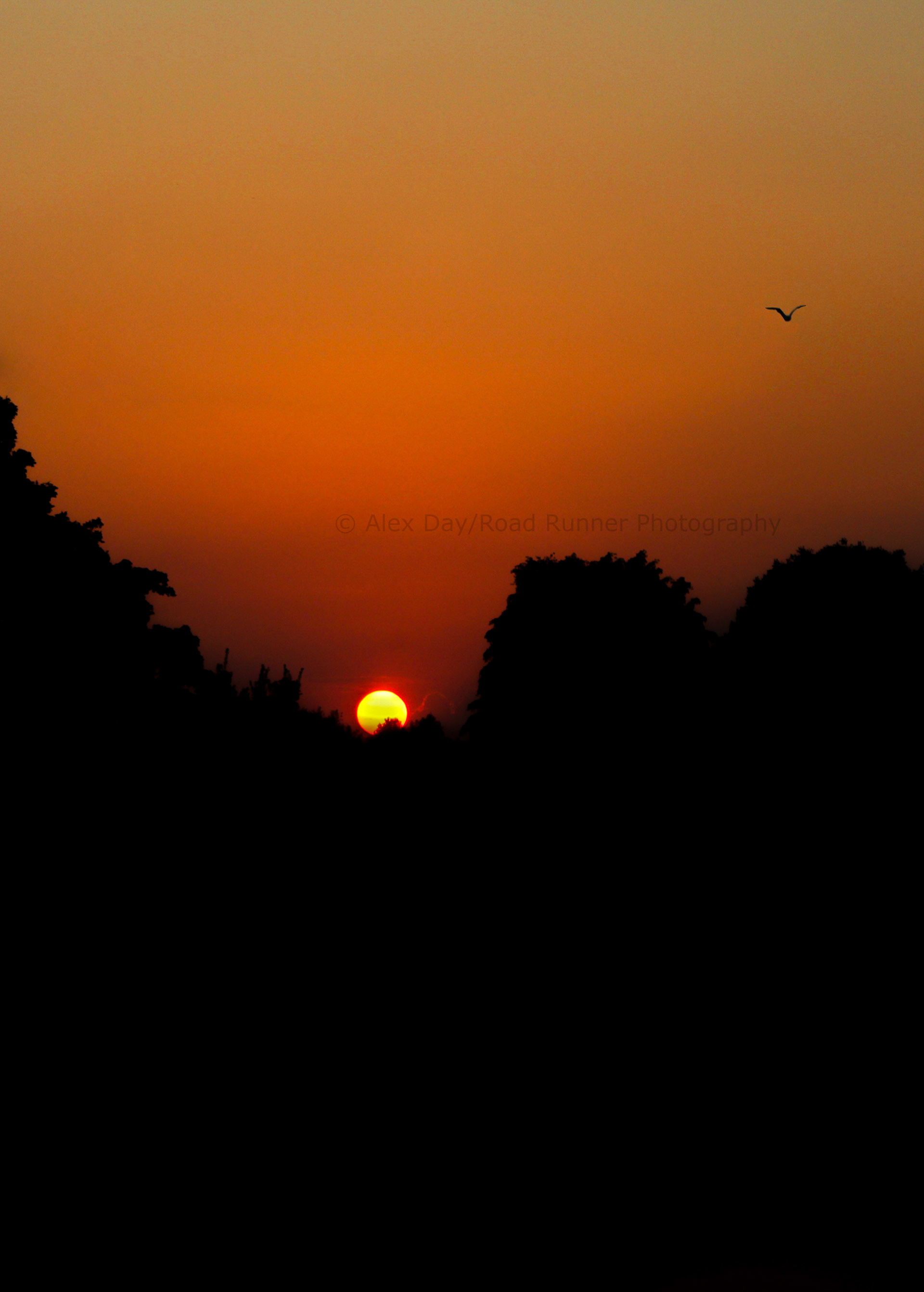 The last glimpse of the days sun during sunset