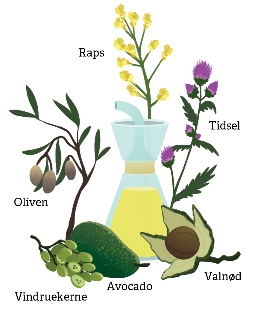 Gyldendal: Illustration