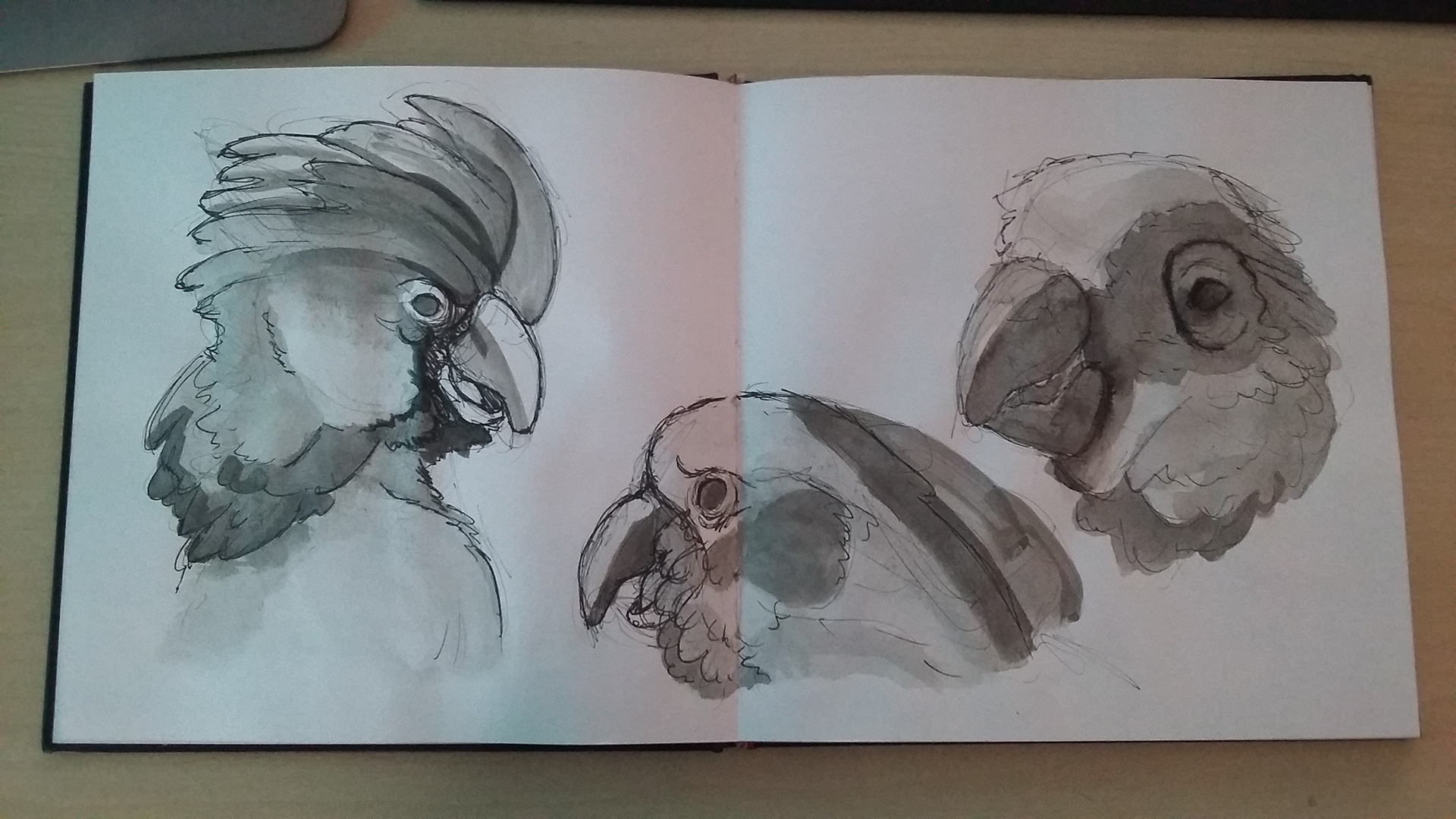 Life Drawing at the petshop: Ink