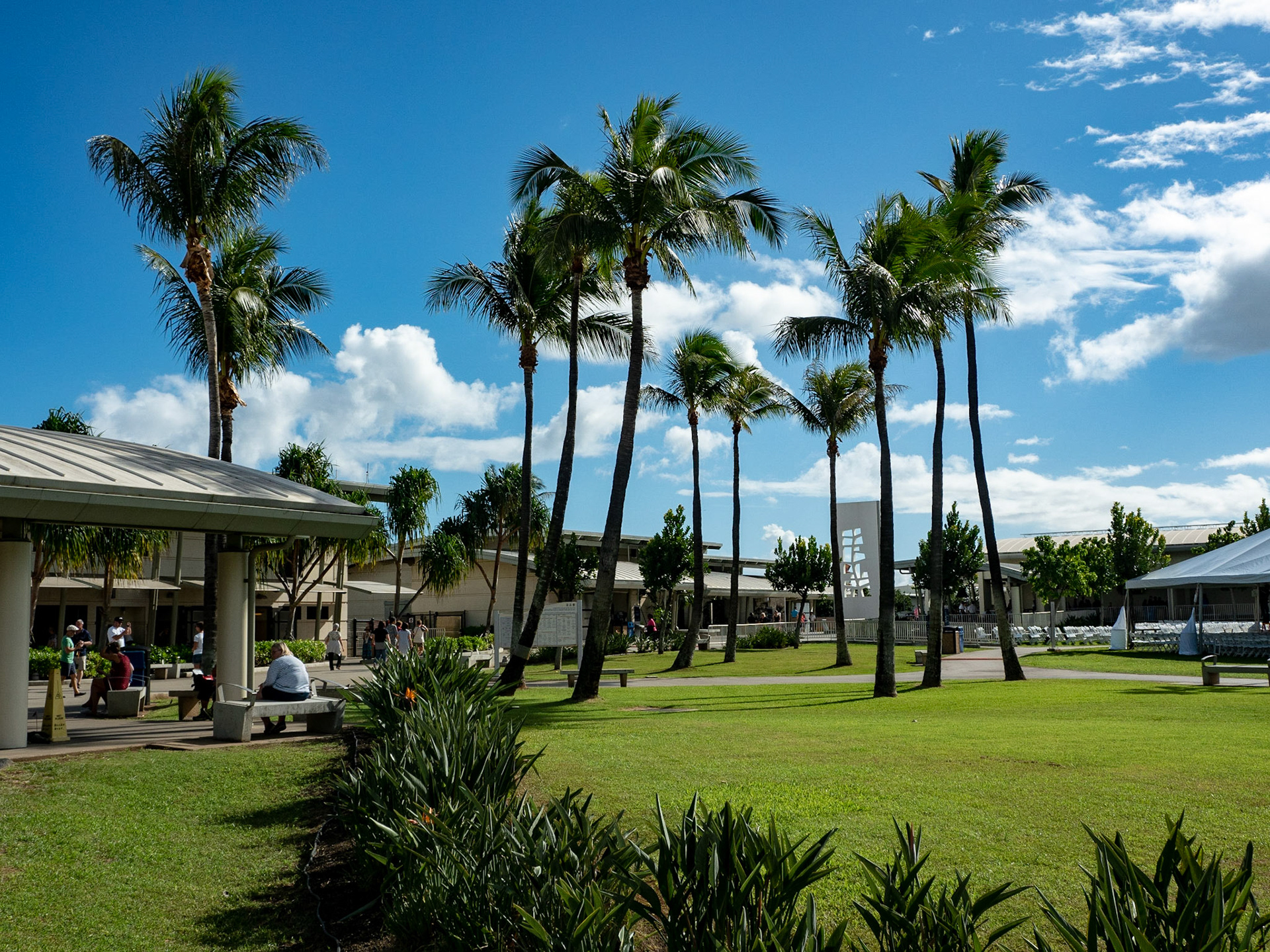 Hawaii 2019