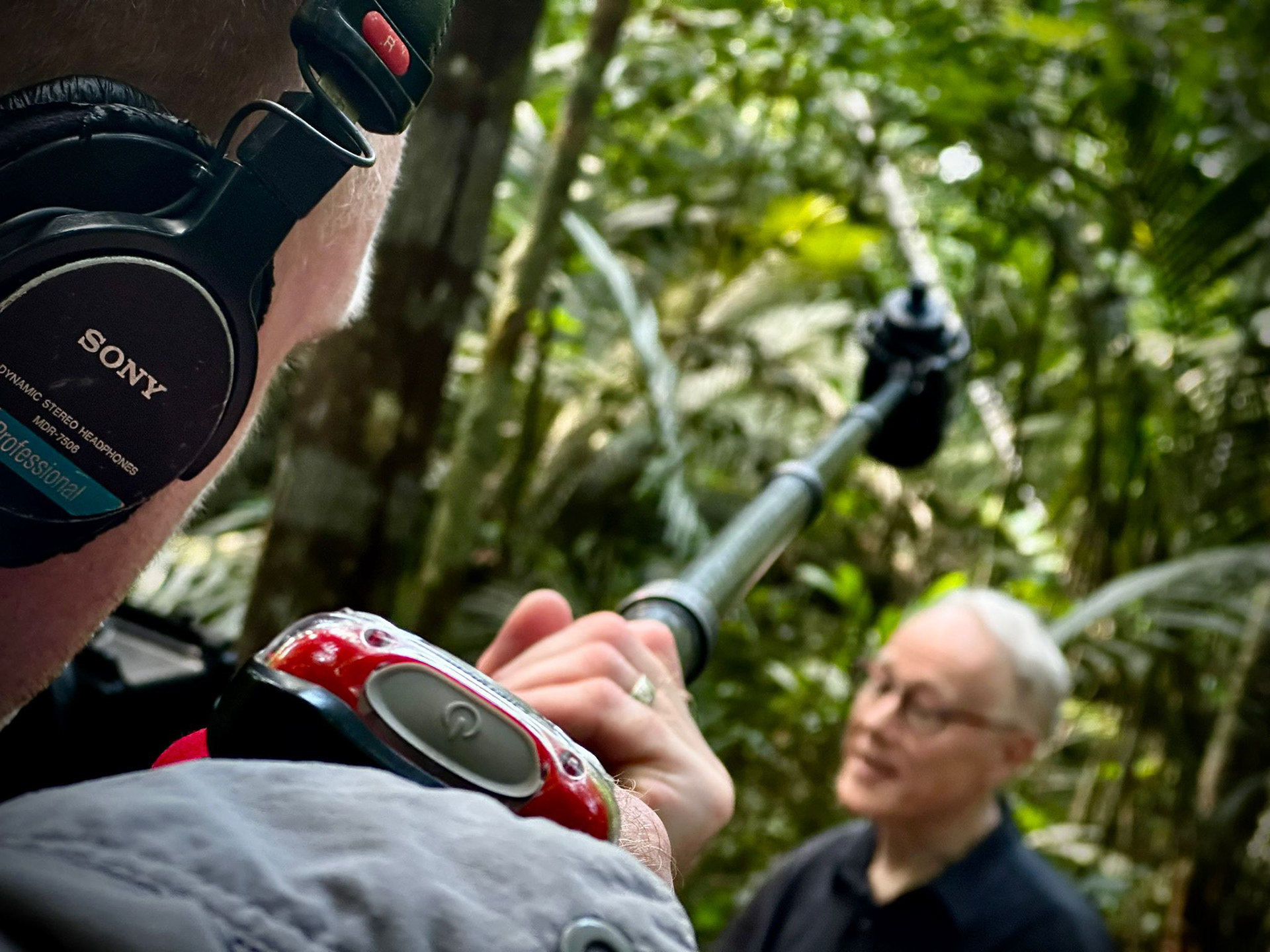 Jungle PTC in the Amazon rainforest, Brazil