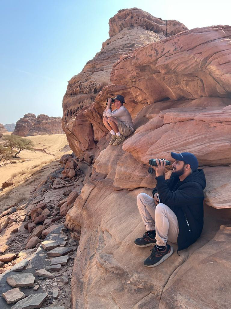 On the look out for Rock Hyrax