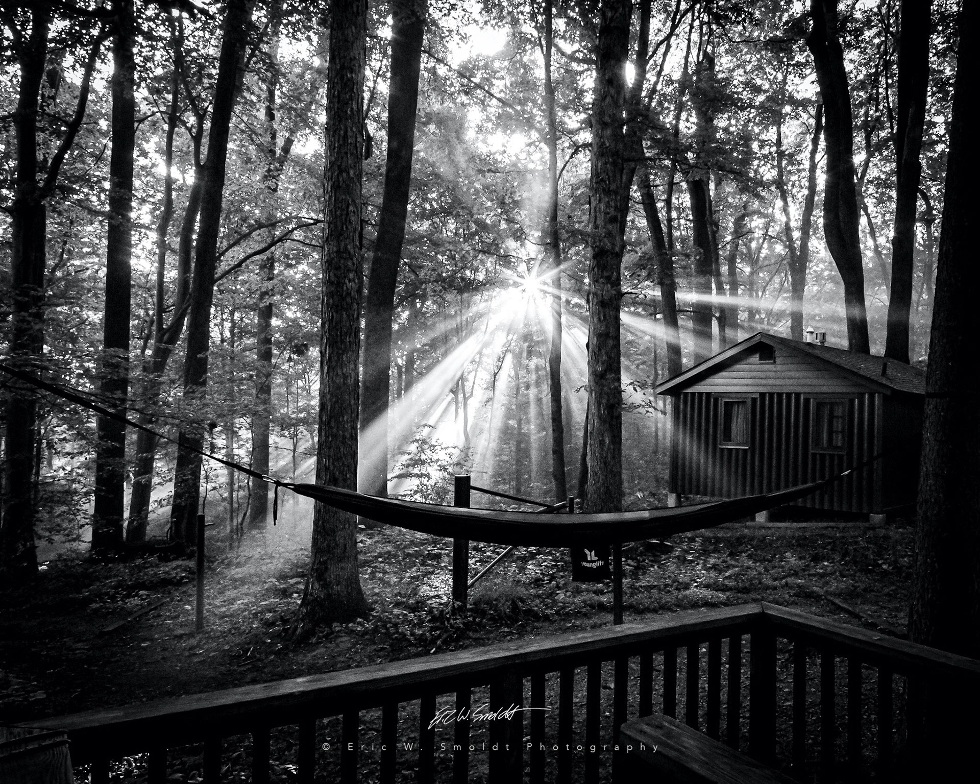 Black and white sunrise in the woods