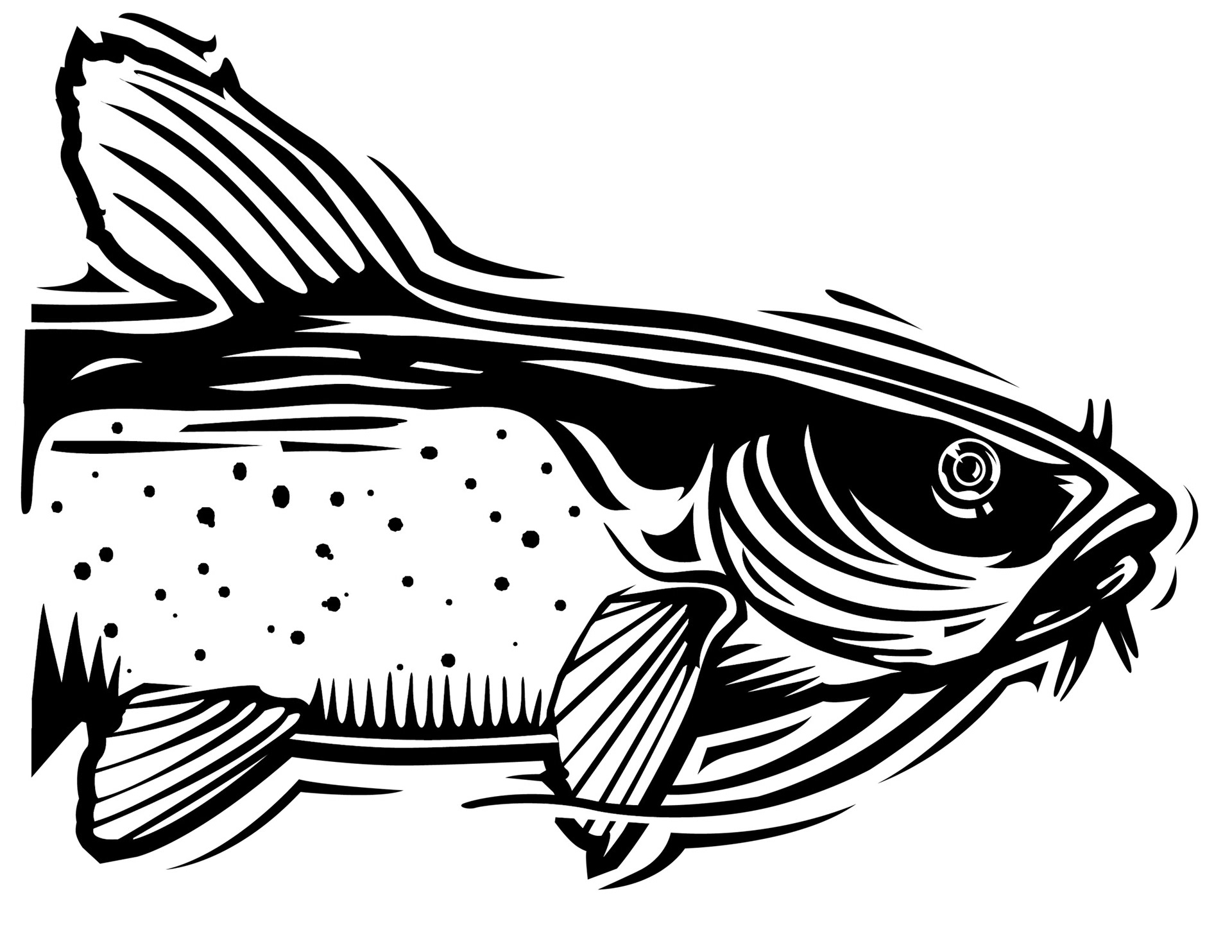 Fish Illustration