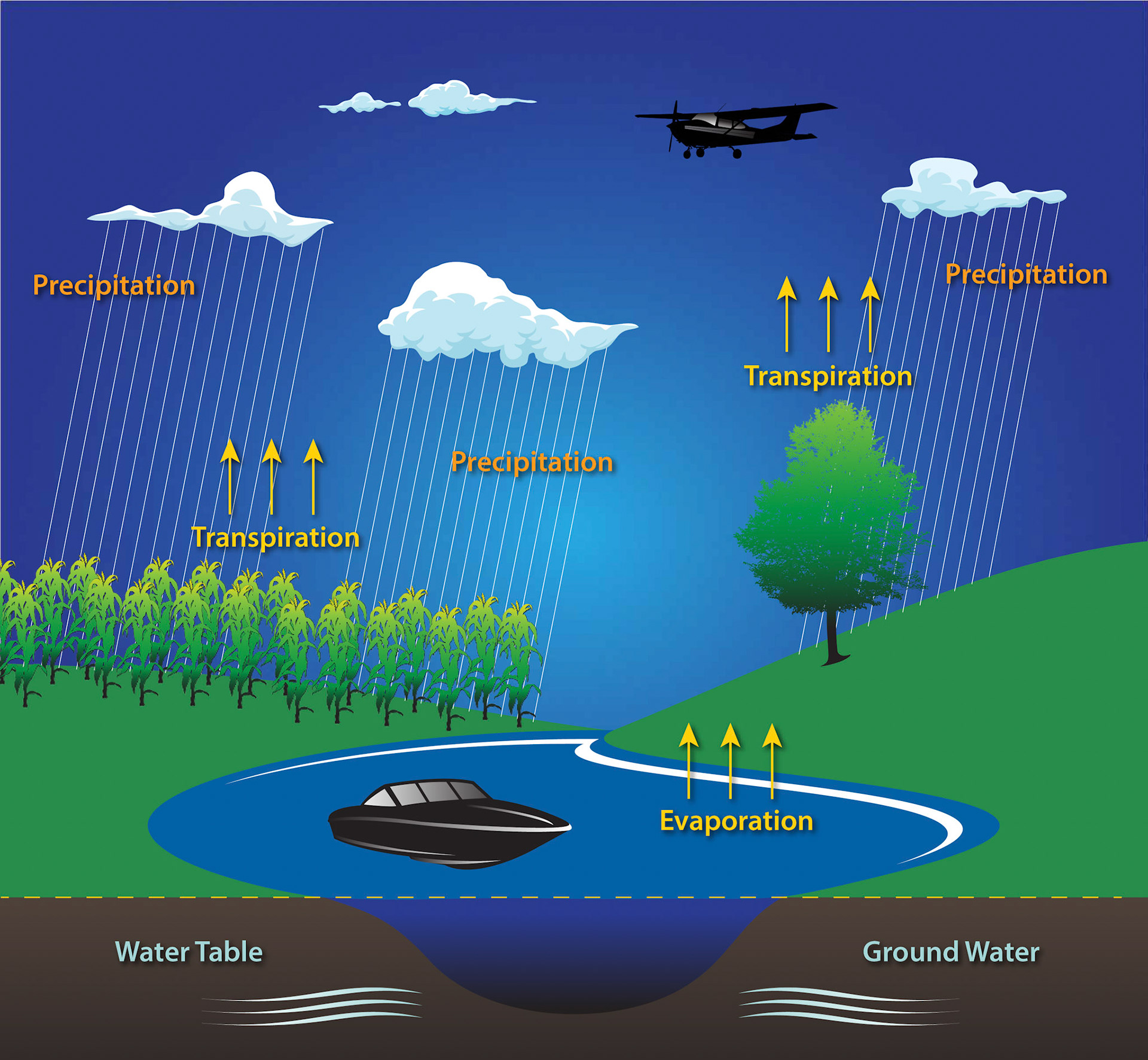 Water Figure