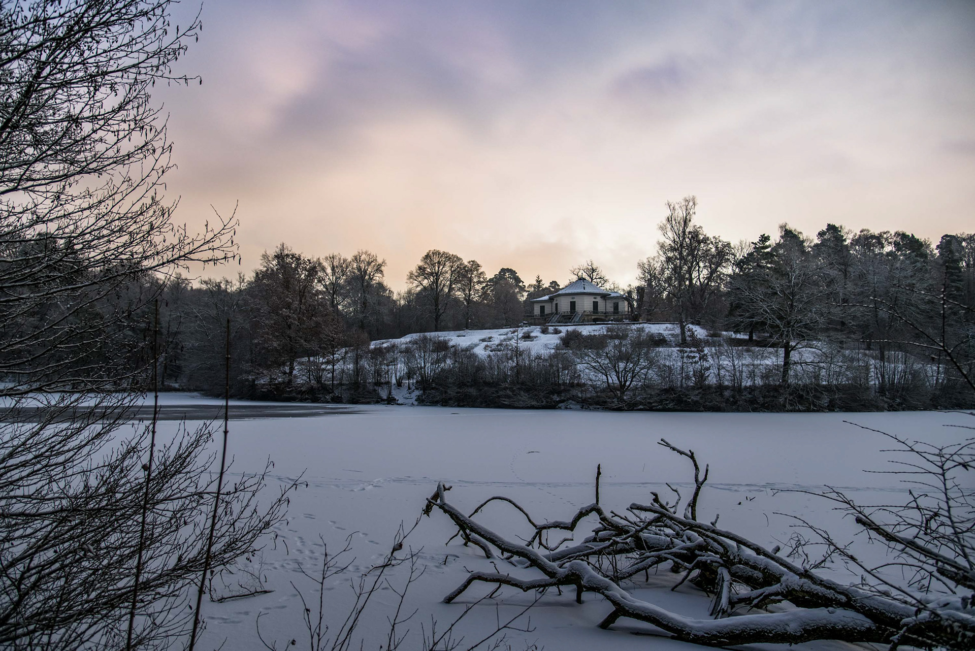 Bärenseen, Stuttgart 2017