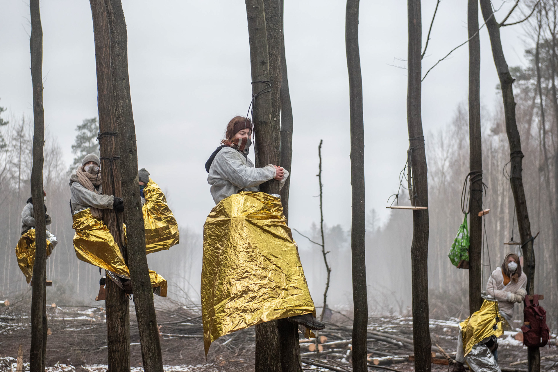 Dannenröder Forst 2020