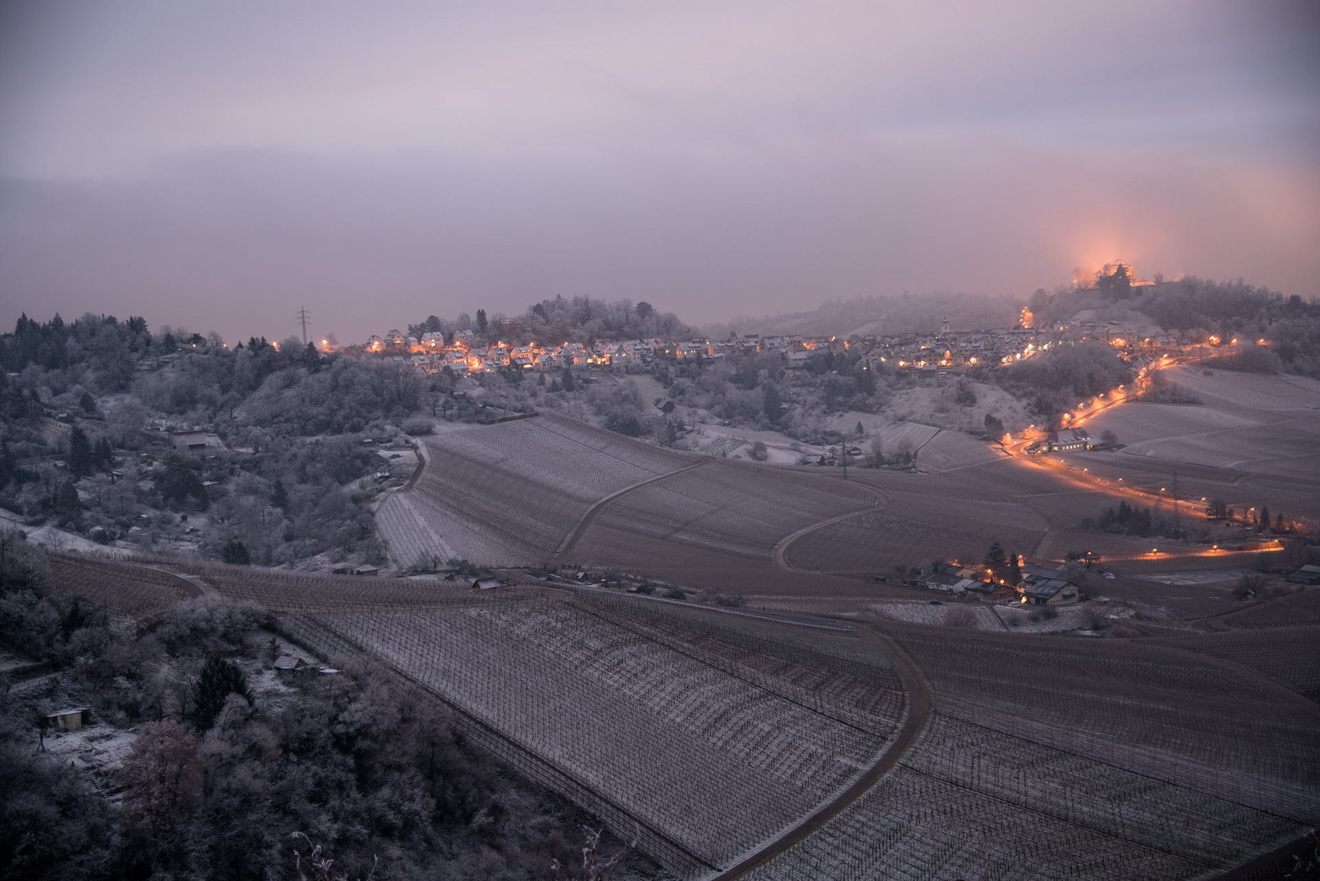 Kappelberg, Fellbach 2017
