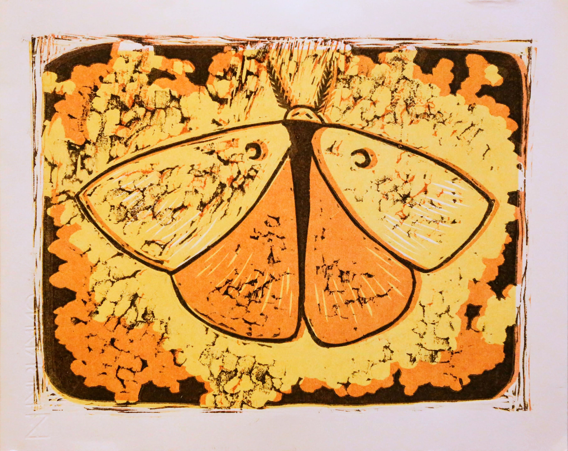  Moth - 3 color reduction