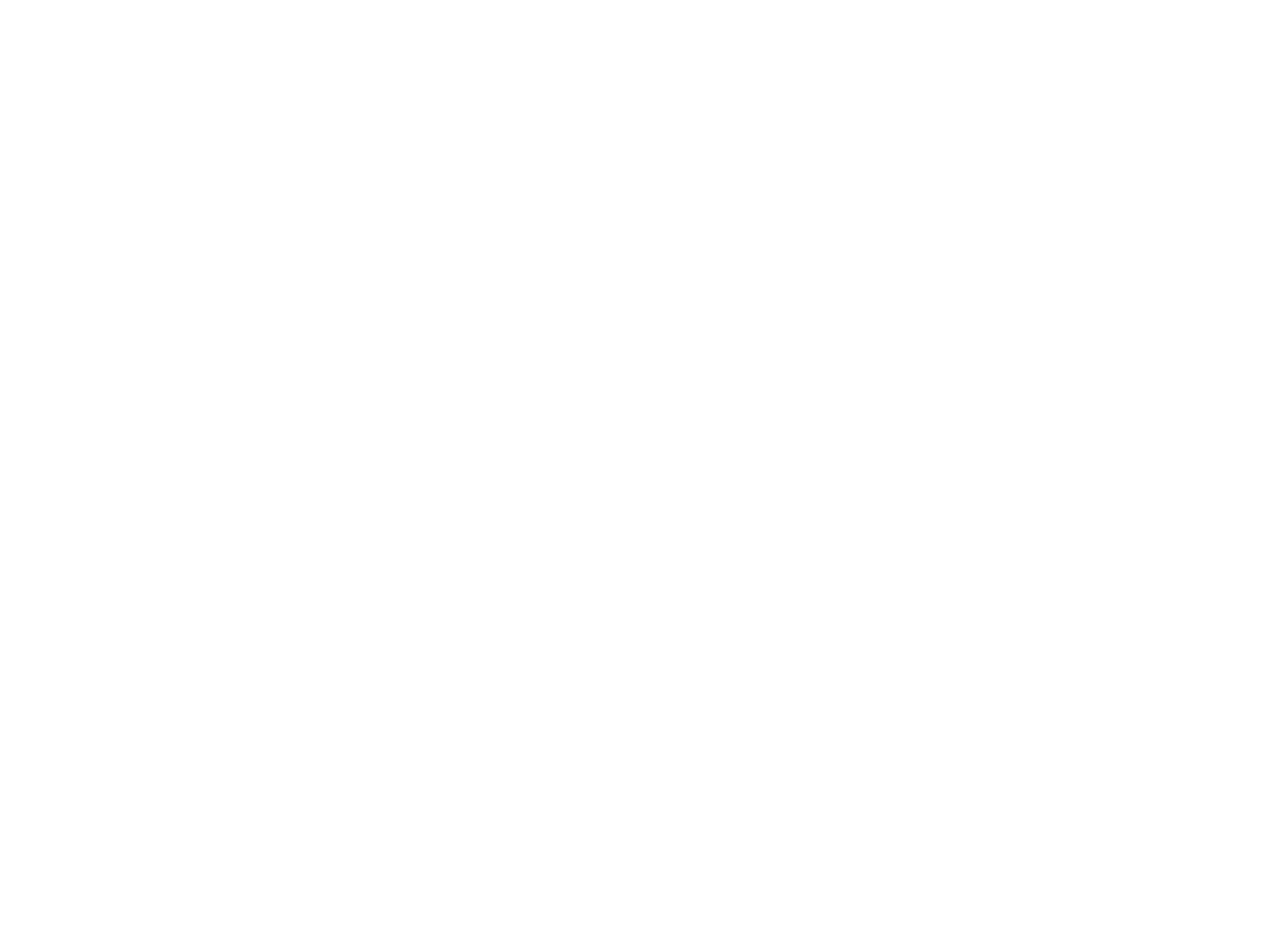 THE FIN