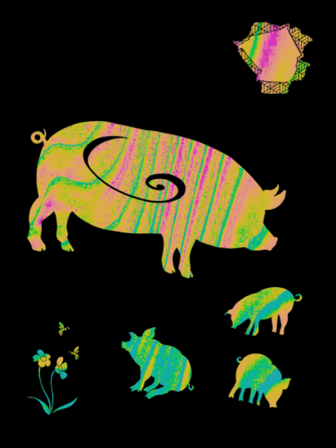 Colorful rainbow-patterned silhouettes of a pig family are displayed, with bees flying around flowers. The background is black.