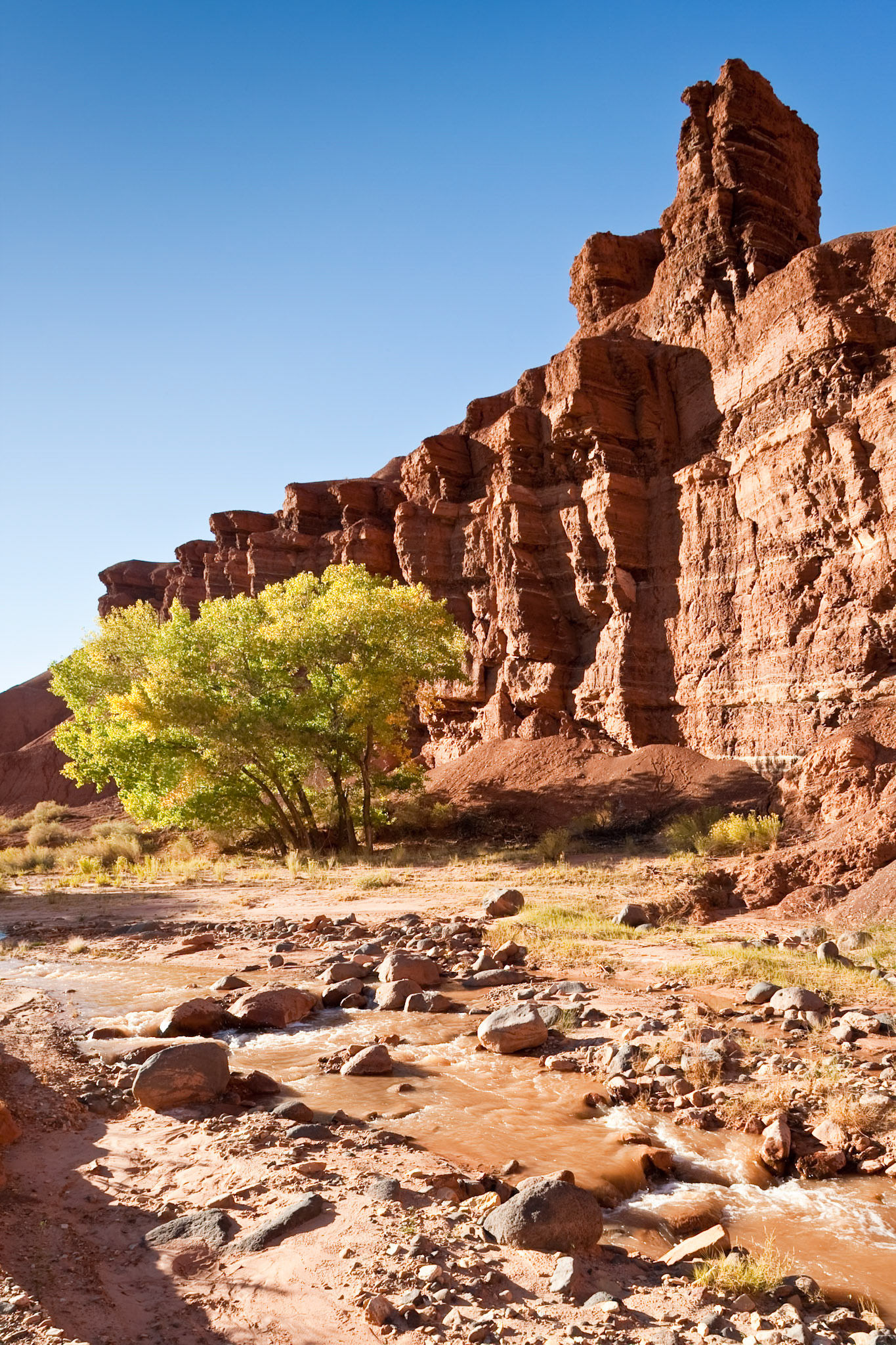 Rock formation The Castle, Capitol Reef National Park, Utah, USA