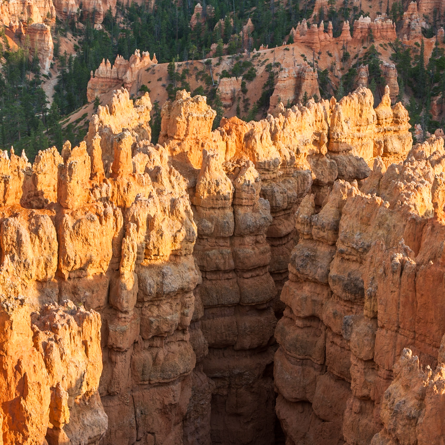 Bryce Canyon Sunset Point, UT, USA