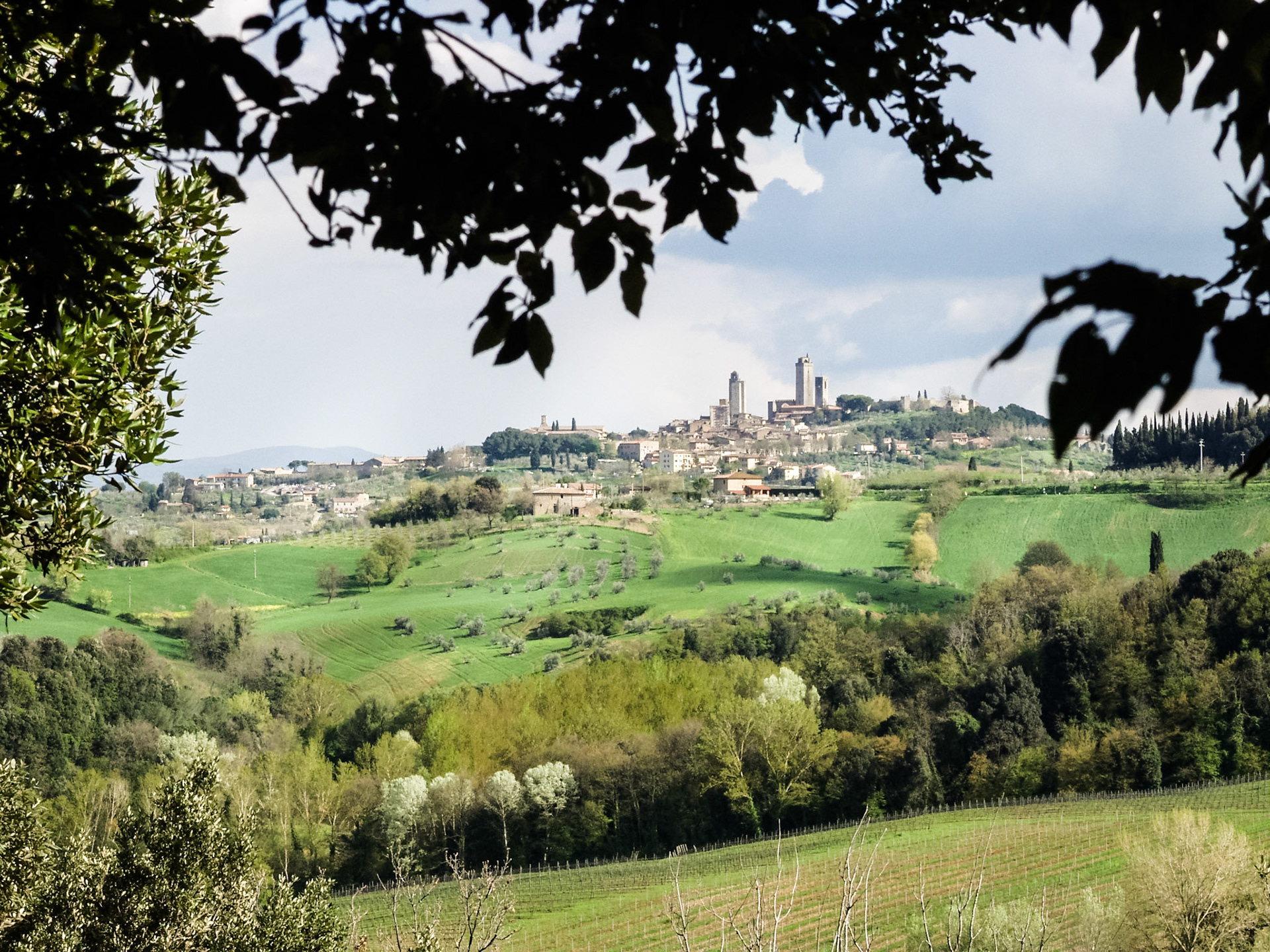 San Gimignano, Lack of aesthetic or commercial appeal