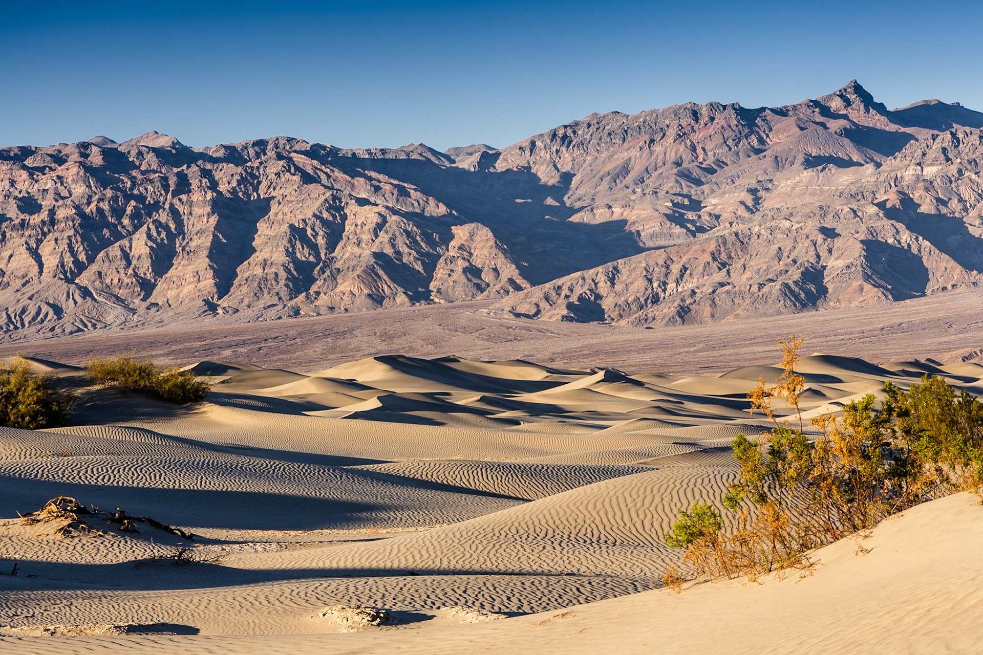 Sunset at Mesquite Flat Sand Dunes, Death Valley, California, USA