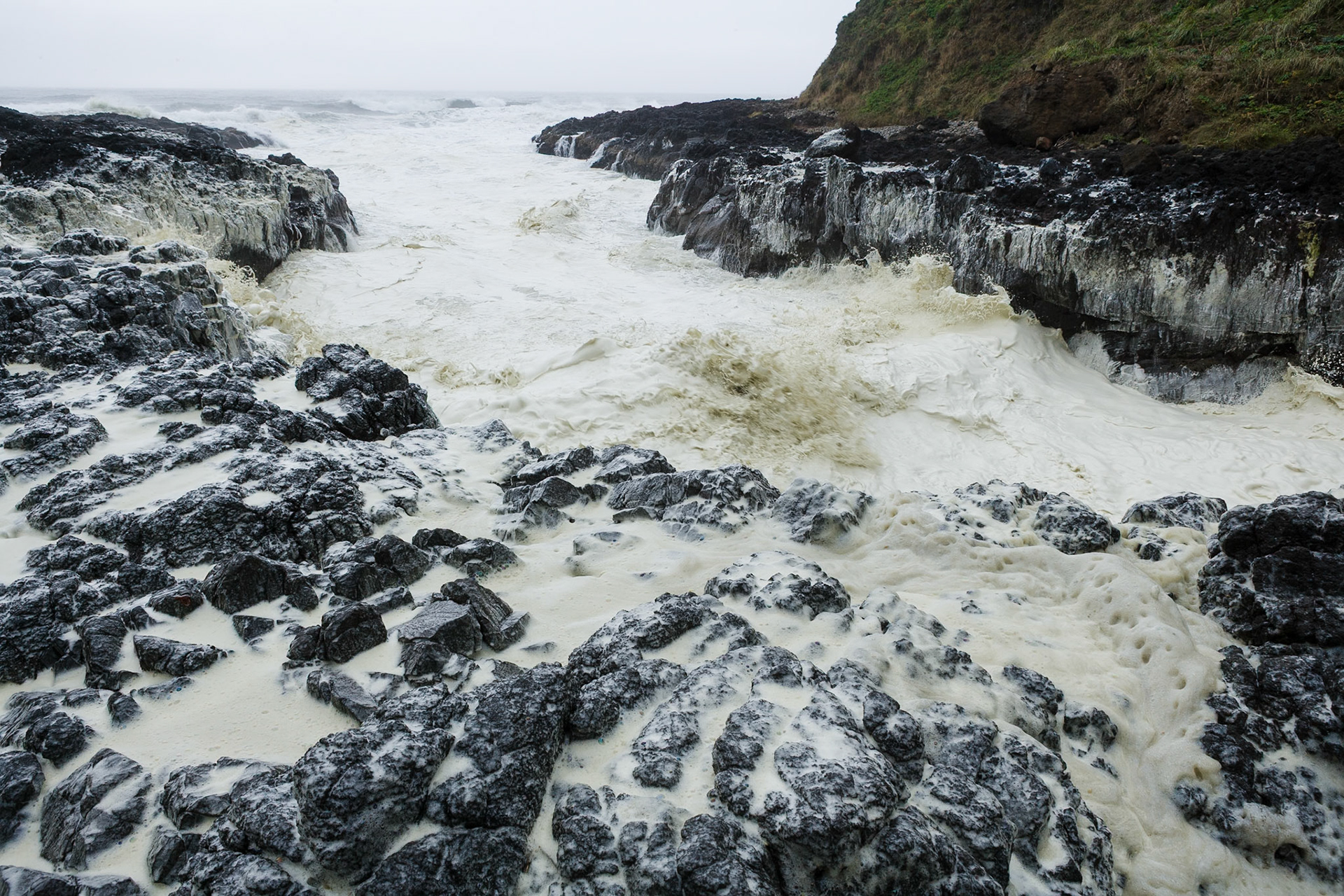 Devil's Churn at the coast of Oregon, Hwy 101, on a foggy day, OR, USA