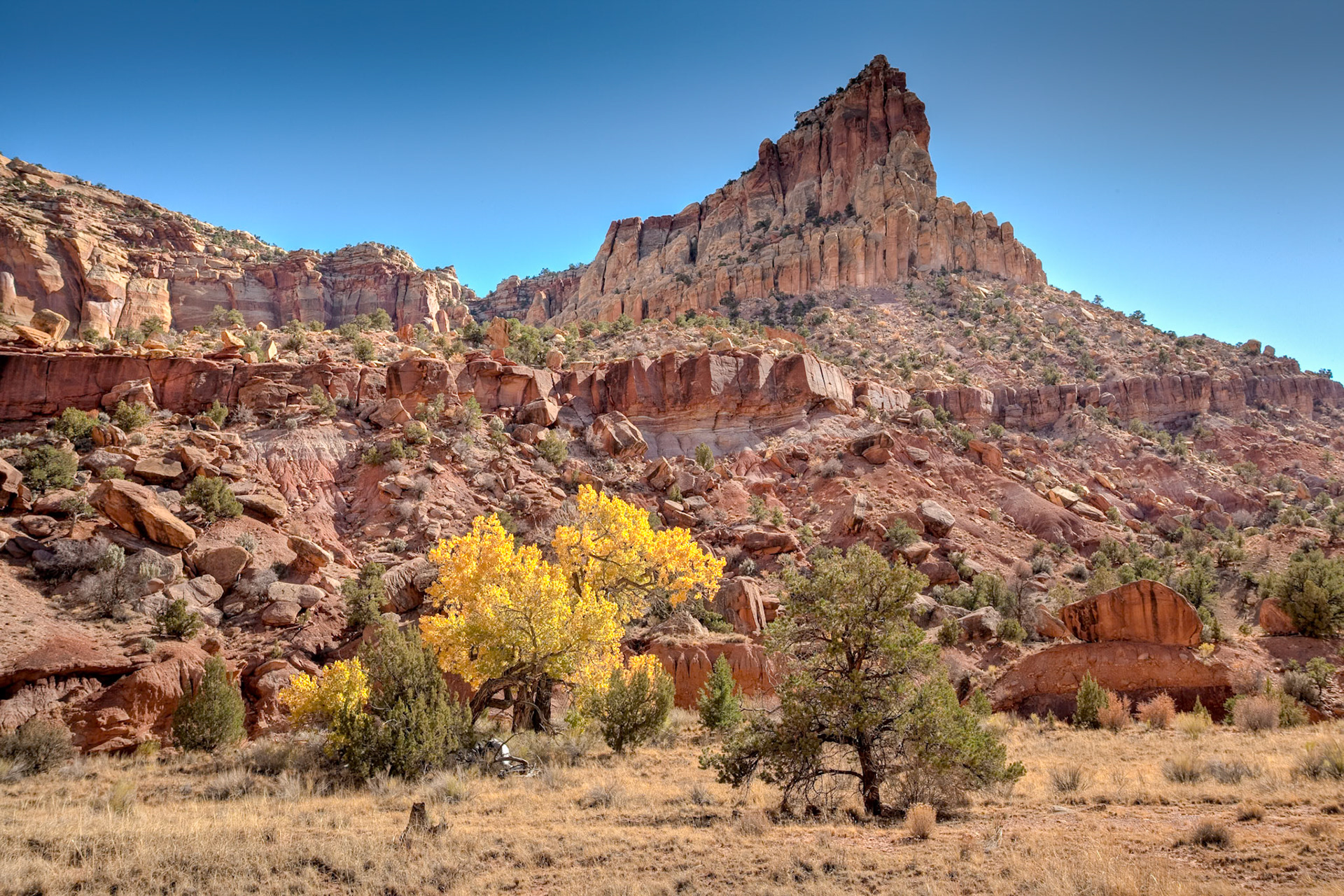 Capitol Reef Nat'l Park, Scenic Drive, Utah, USA