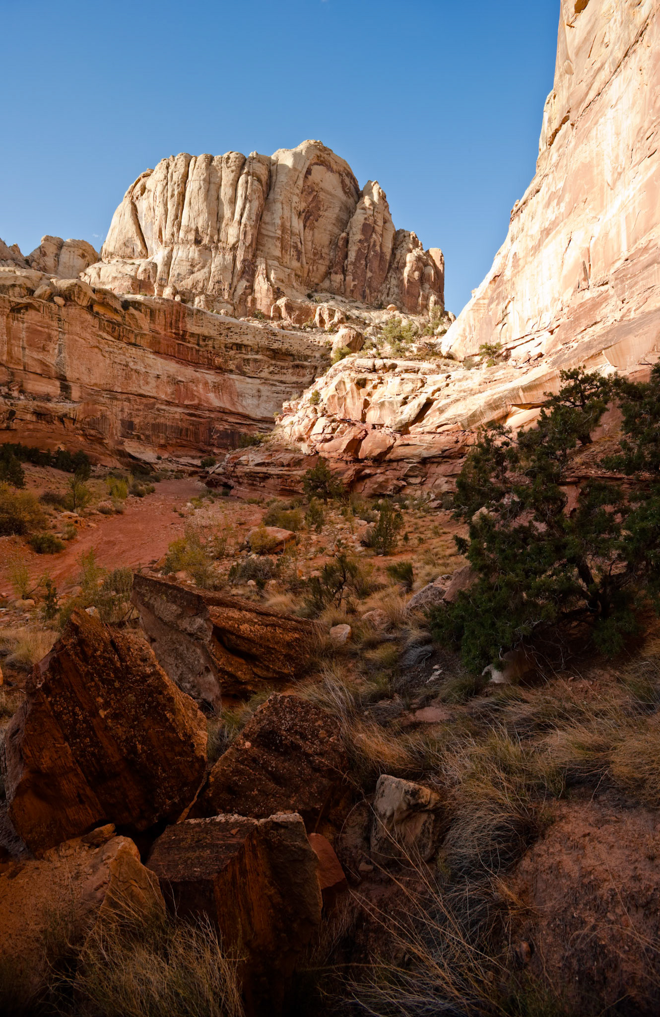 Grand Wash, Capitol Reef Nat'l Park, Utah