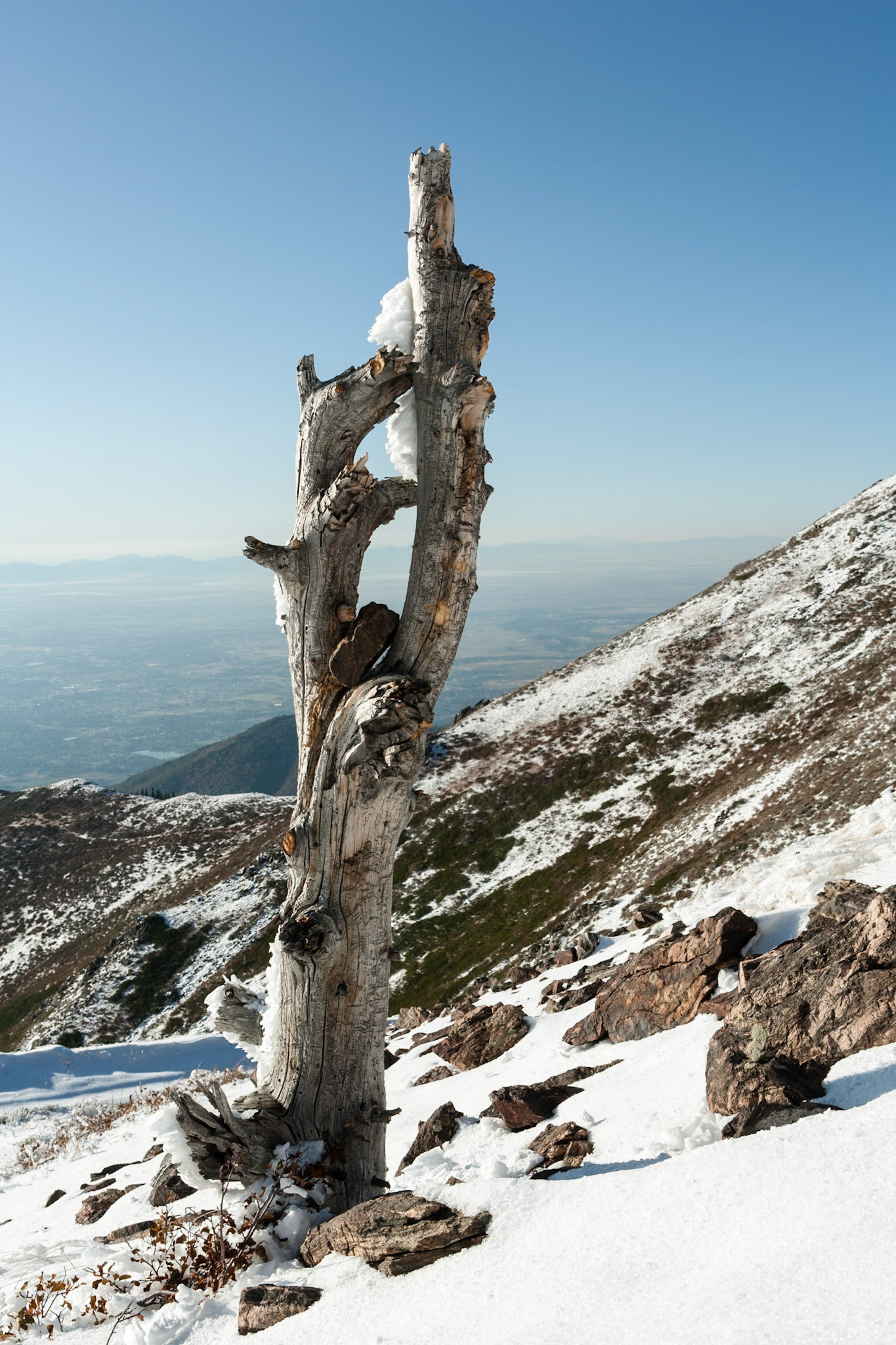Francis Peak at Wasatch National Forest, Wasatch Range, Utah, USA