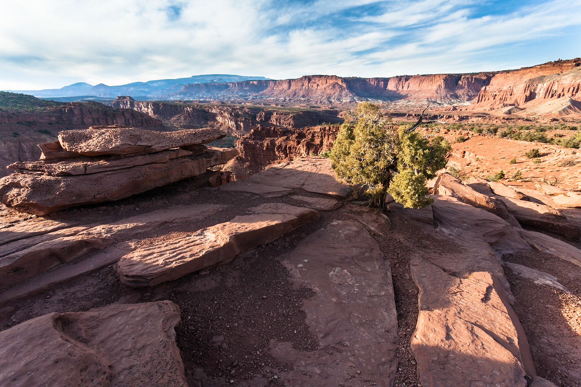 Capitol Reef Nat'l Park, Utah at Goosenecks point, Utah, USA