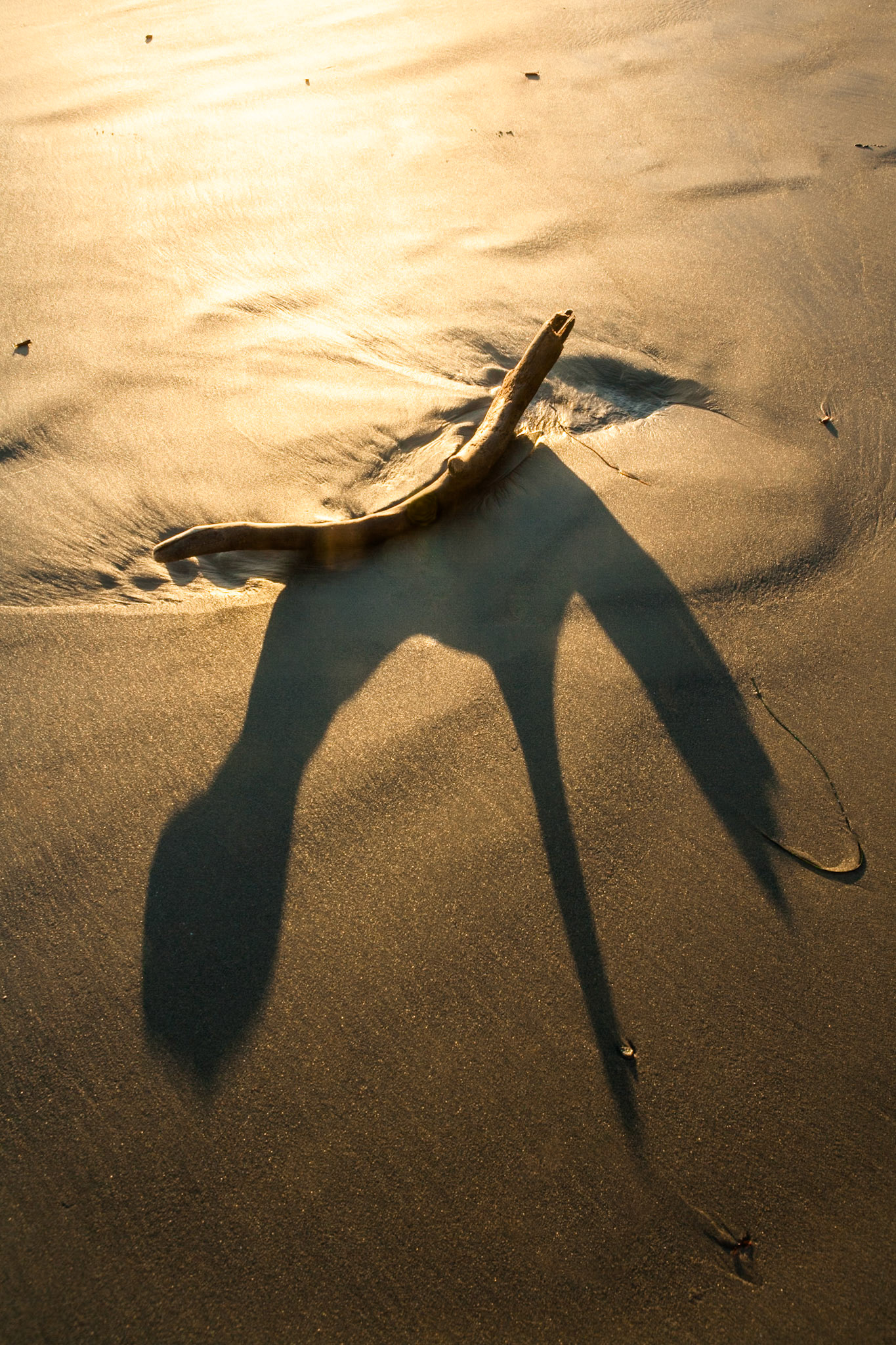 Graphical element at Second Beach near La Push at the Olympic National Park, Washington, USA