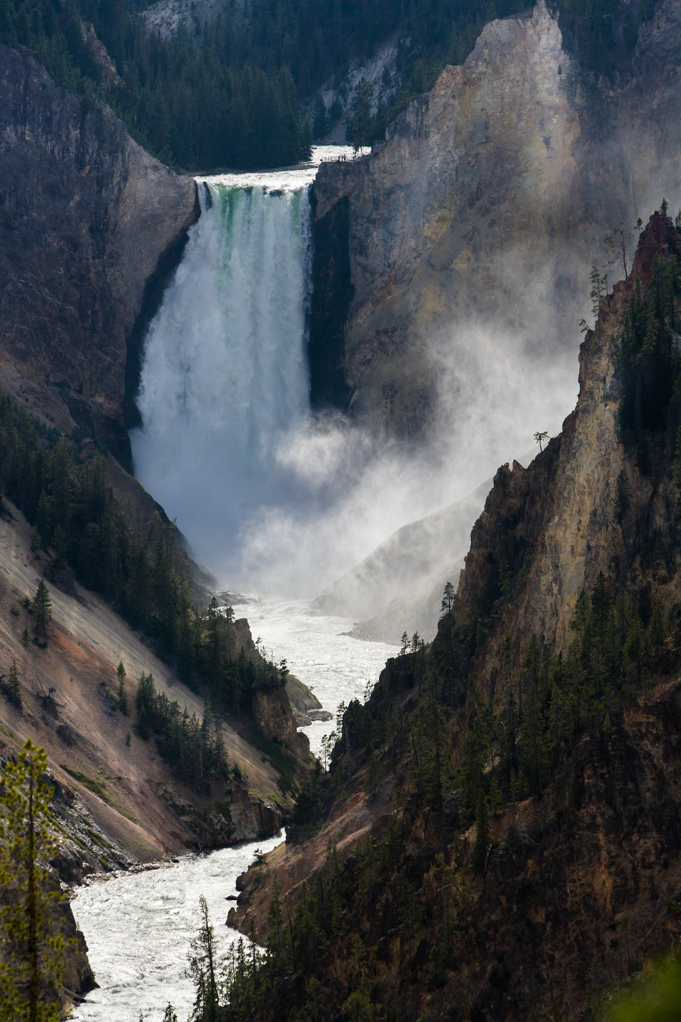 Lower Falls of the Yellowstone River at Grand Canyon of Yellowstone from Artist Point, WY, USA