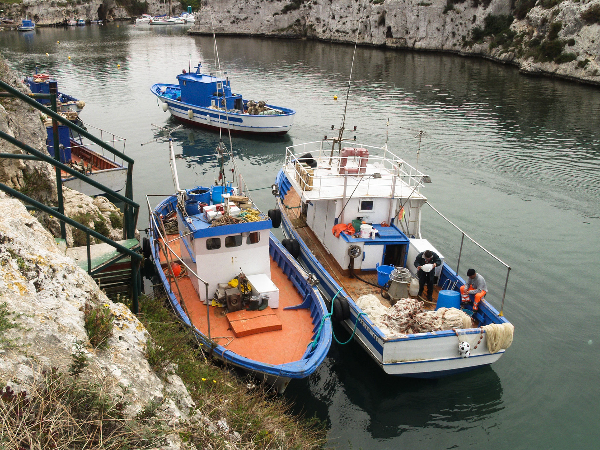 Brucoli, Intellectual Property Violation