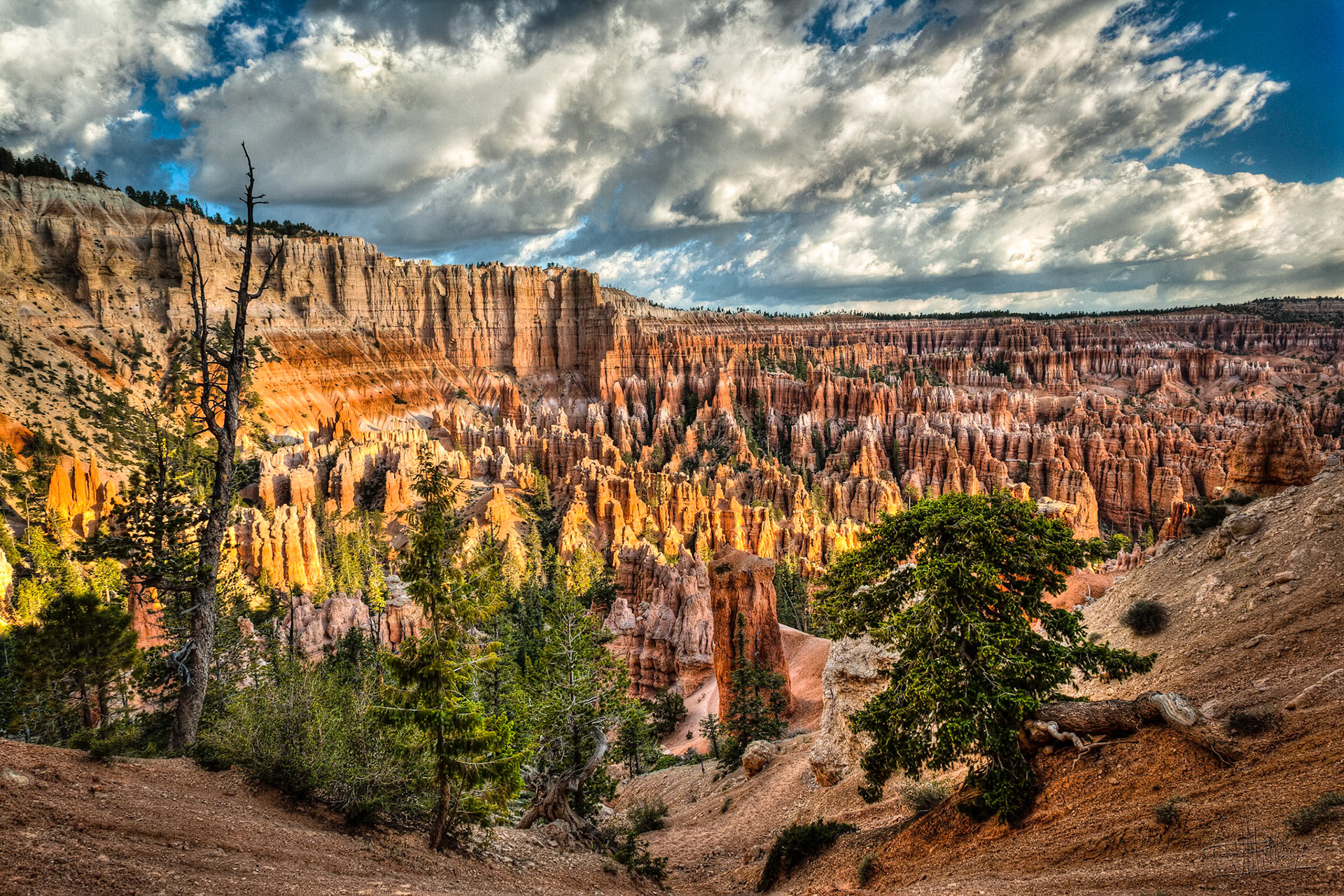 Bryce Canyon, Bryce Point,  UT, USA
