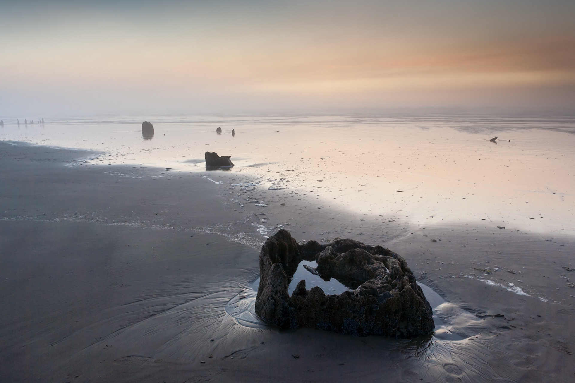 South Beach with Petrified trees at Neskowin after Sunset, OR, USA