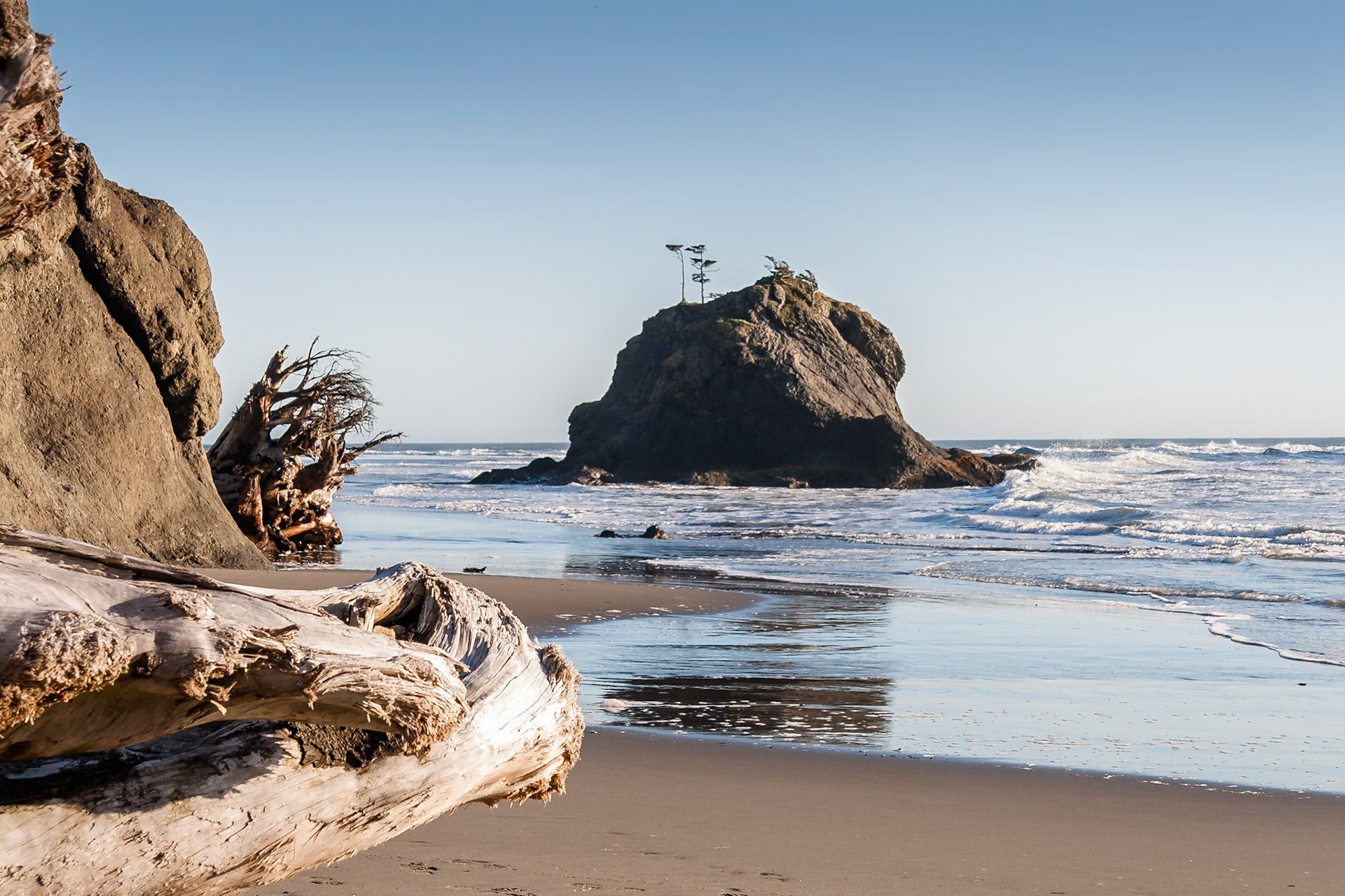 Driftwood at Second Beach near La Push, Olympic National Park, WA, USA