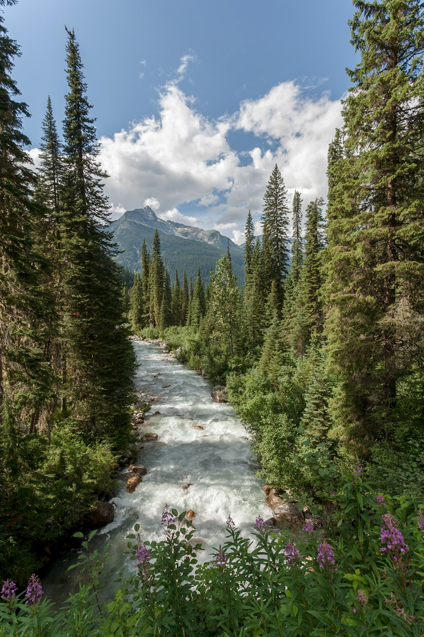 Meeting of the waters, Glacier national Park, BC, CA