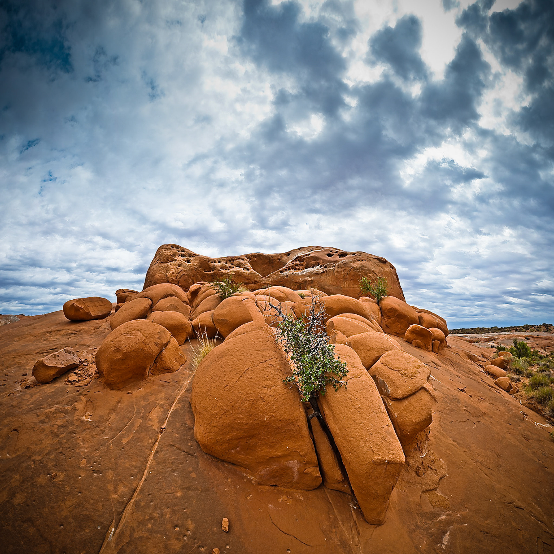 Dance Hall Rock at Grand Staircase Escalante National Monument