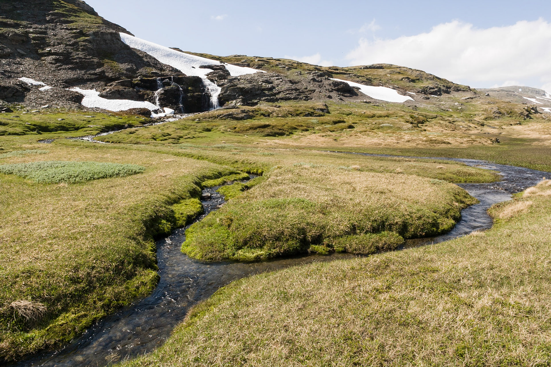 Stream at F243-Laerdalsøyri-Aurlandsvangen