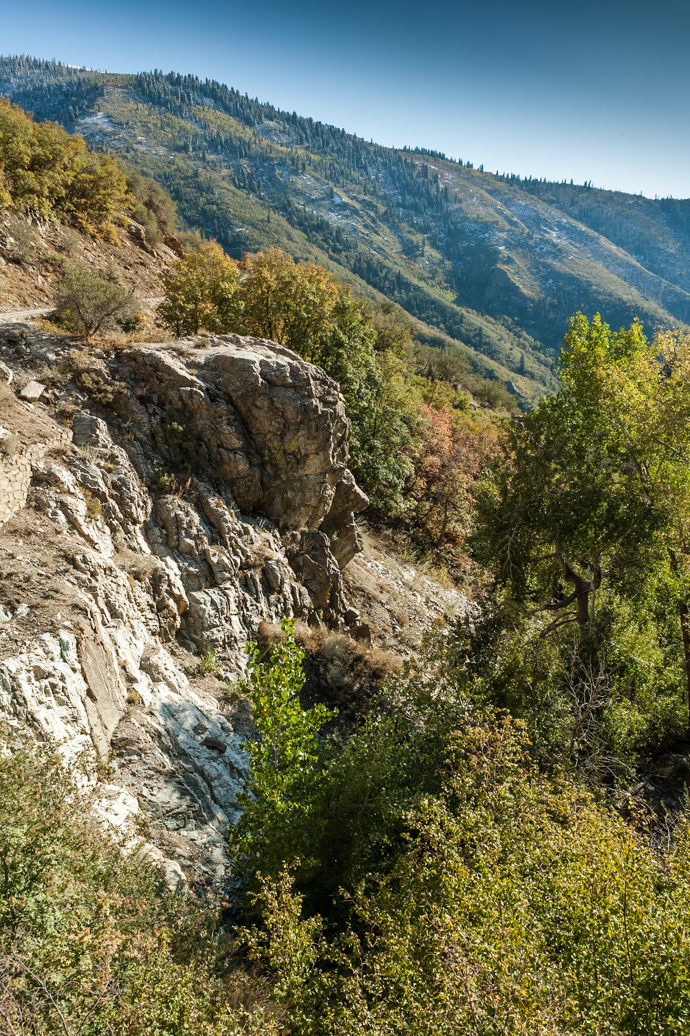 Fall at Wasatch National Forest, Wasatch Range, Utah, USA