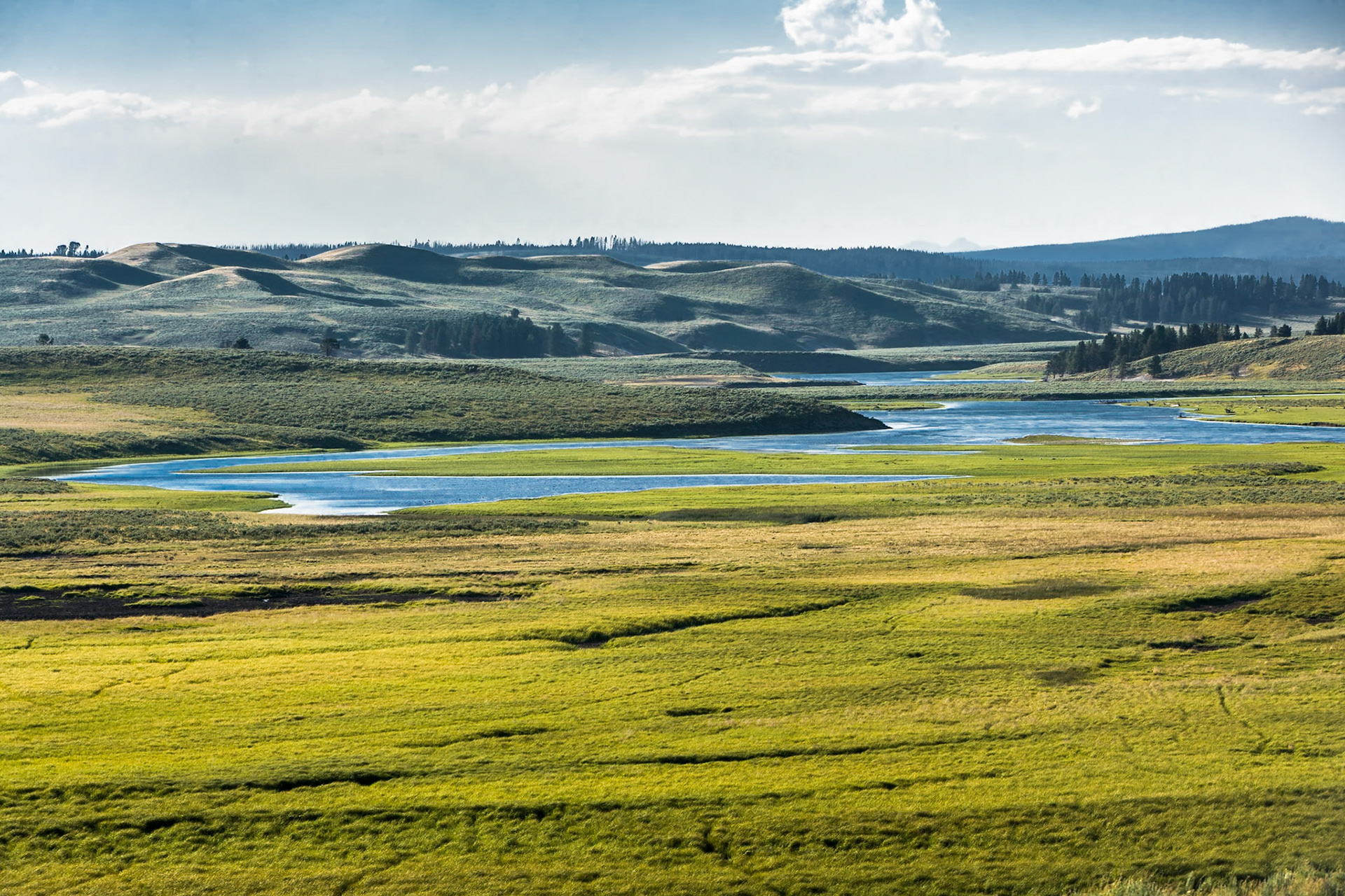 Yellowstone River at Hayden Valley, Wyoming, USA