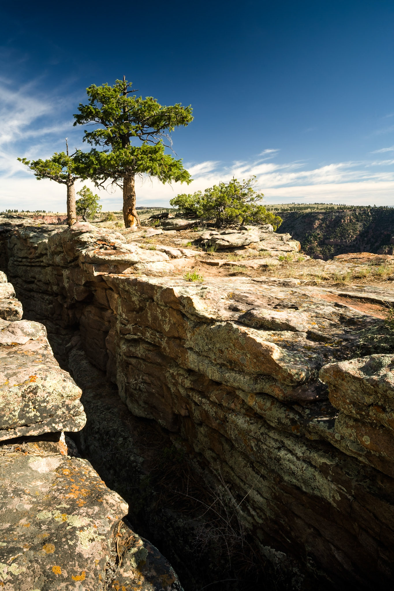 Flaming Gorge Recreational Area - Red Canyon, UT, USA