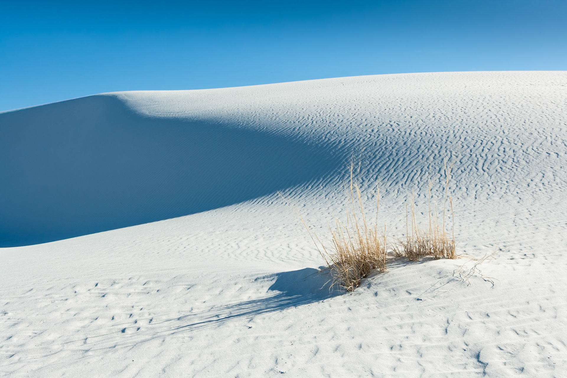 White Sand Dunes National Monument, New Mexico, USA