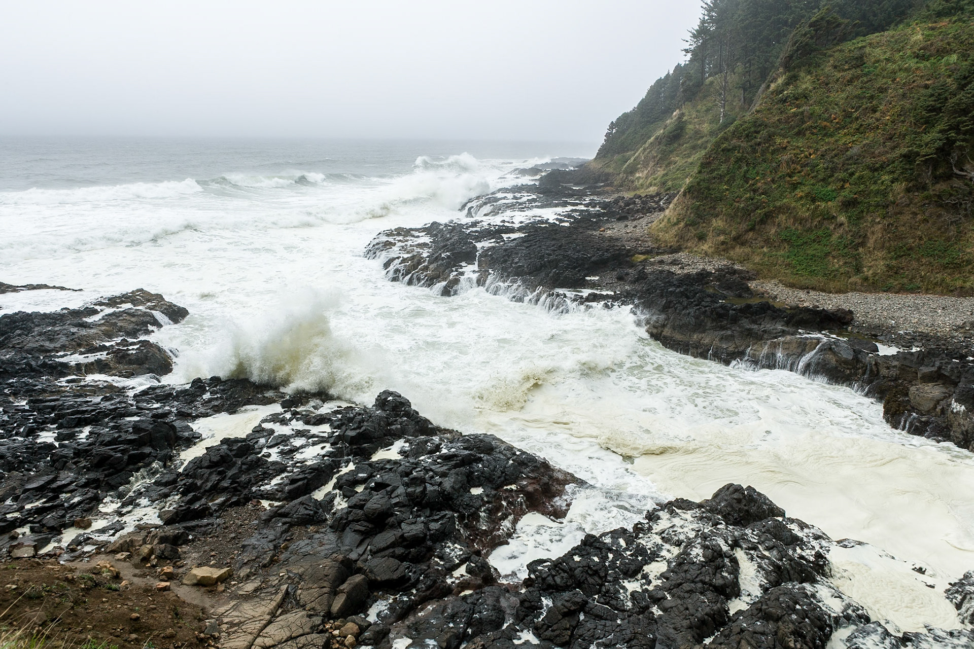 Devil's Churn at the coast of Oregon, Hwy 101, on a foggy day, OR, USA