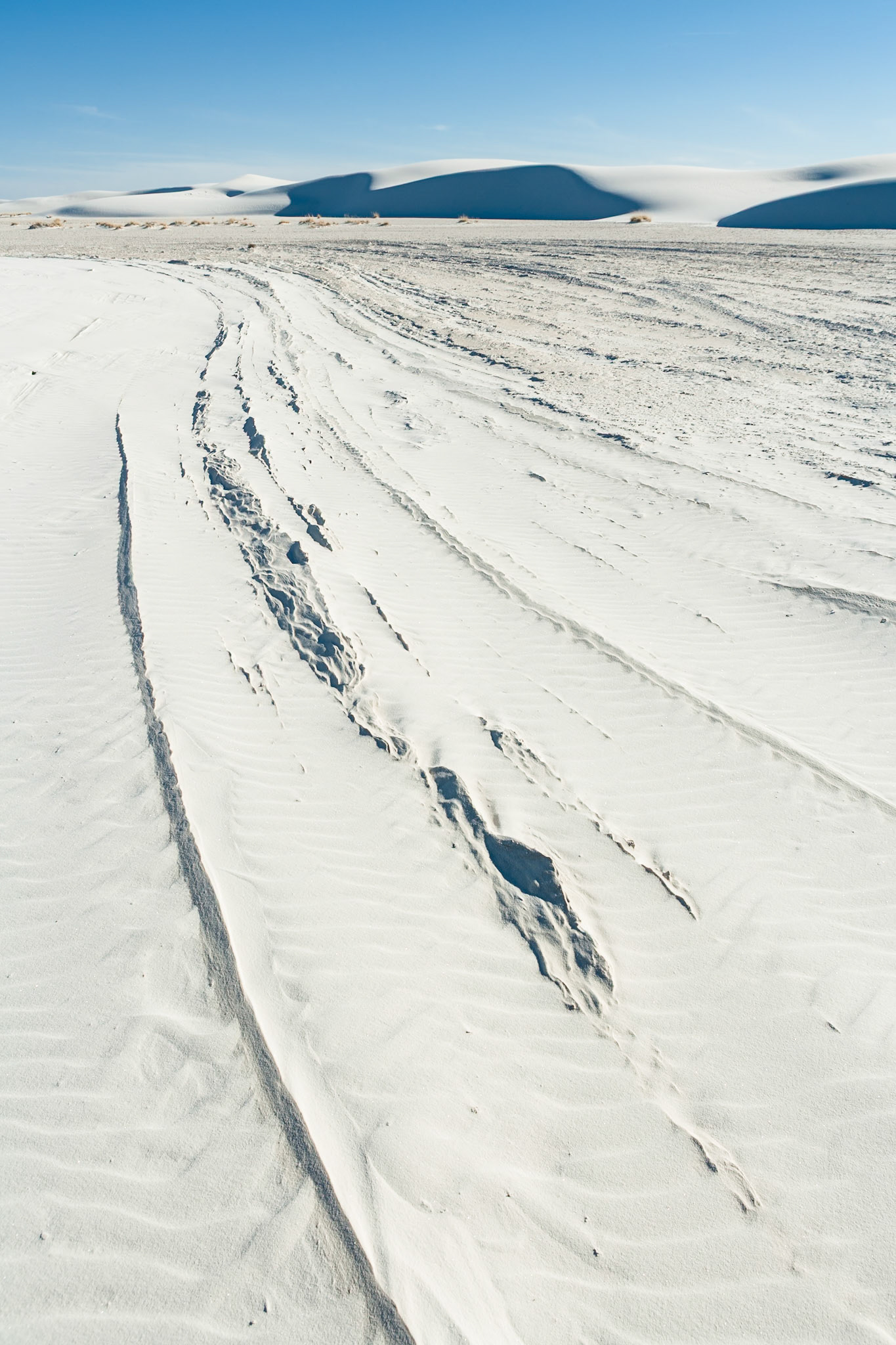 White Sand Dunes National Monument, New Mexico, USA