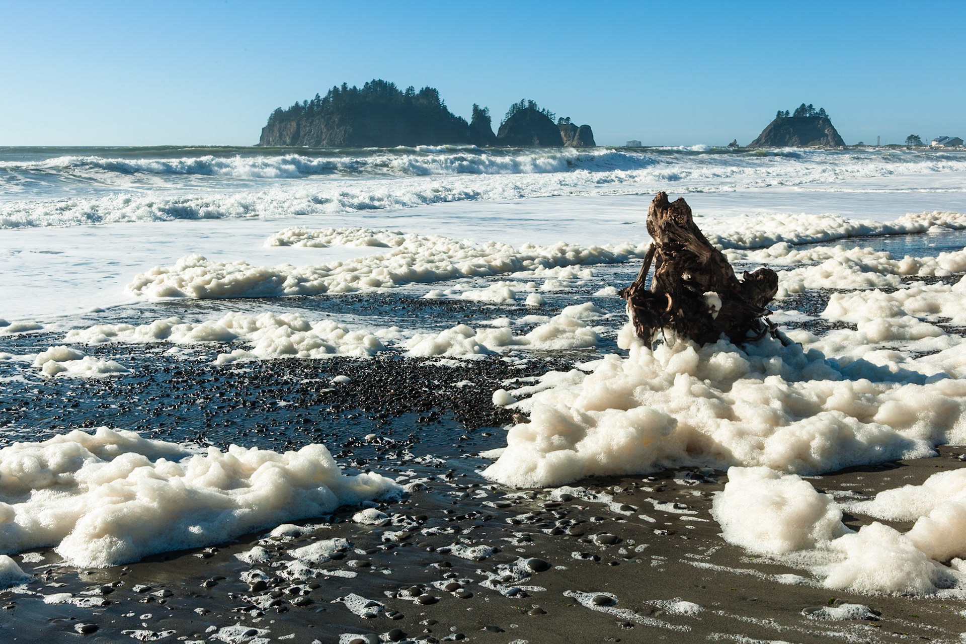 Sea Foam at First Beach near La Push, Olympic National Park, Washington, USA