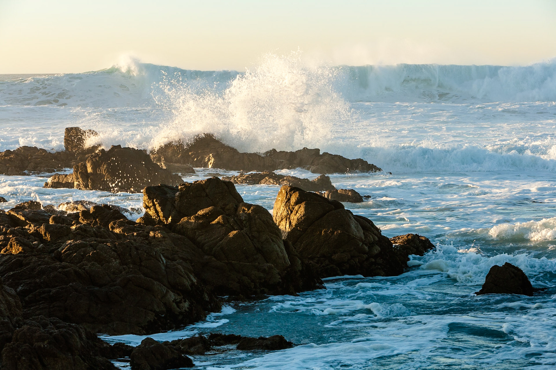 Asilomar State Beach near Monterey, California, USA