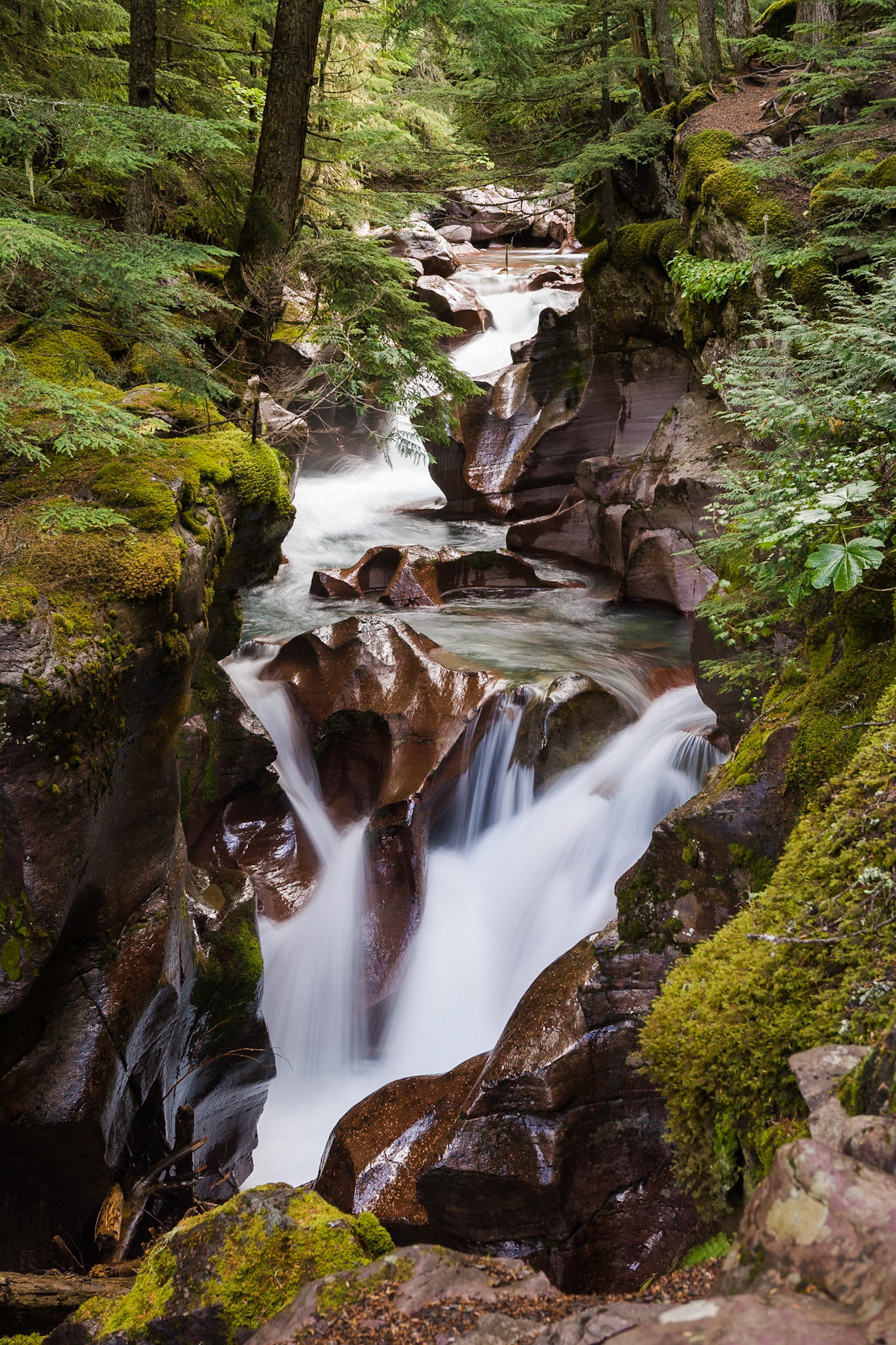 Avalanche Creek at Trail of the Cedars, Glacier National Park, Montana, USA
