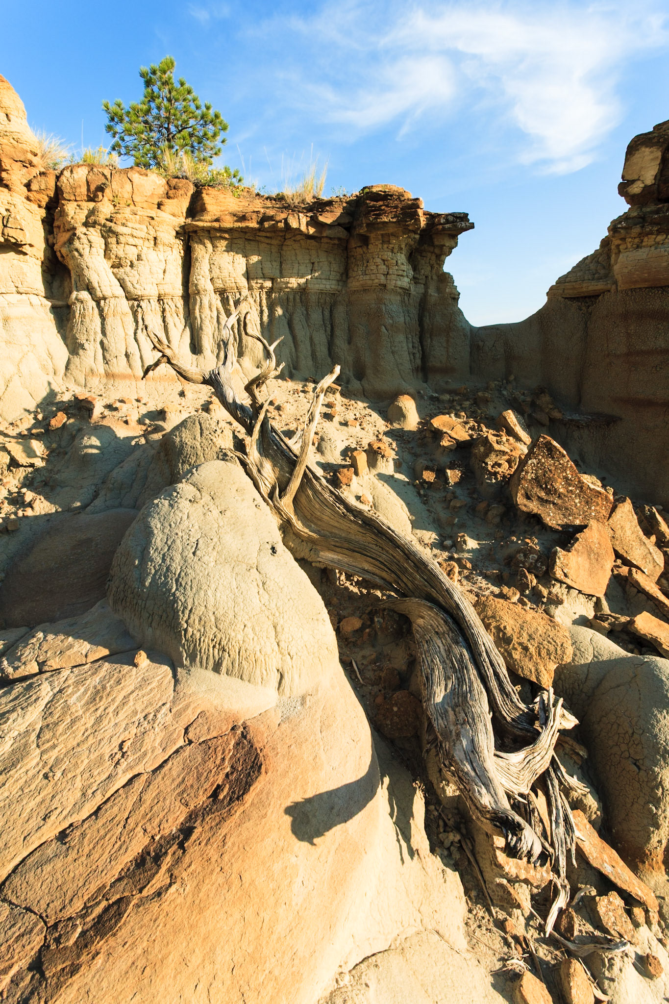 Erosion at Makoshika State Park at sunset, Montana, North America, USA