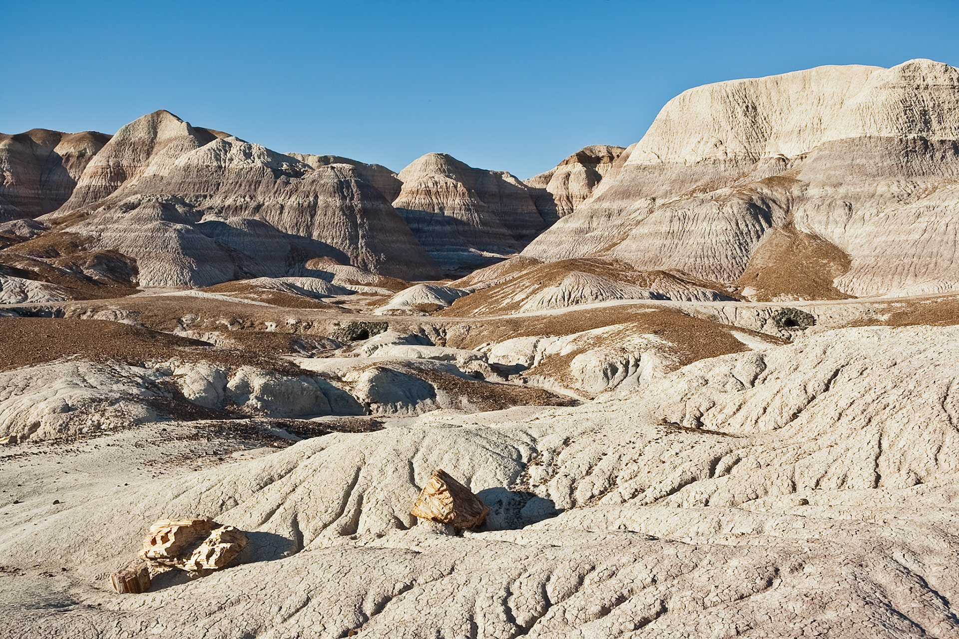 Petrified Forest National Park, Blue Mesa, AZ, USA